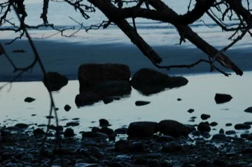 DSC_0308_7 2006:11:18.jpg