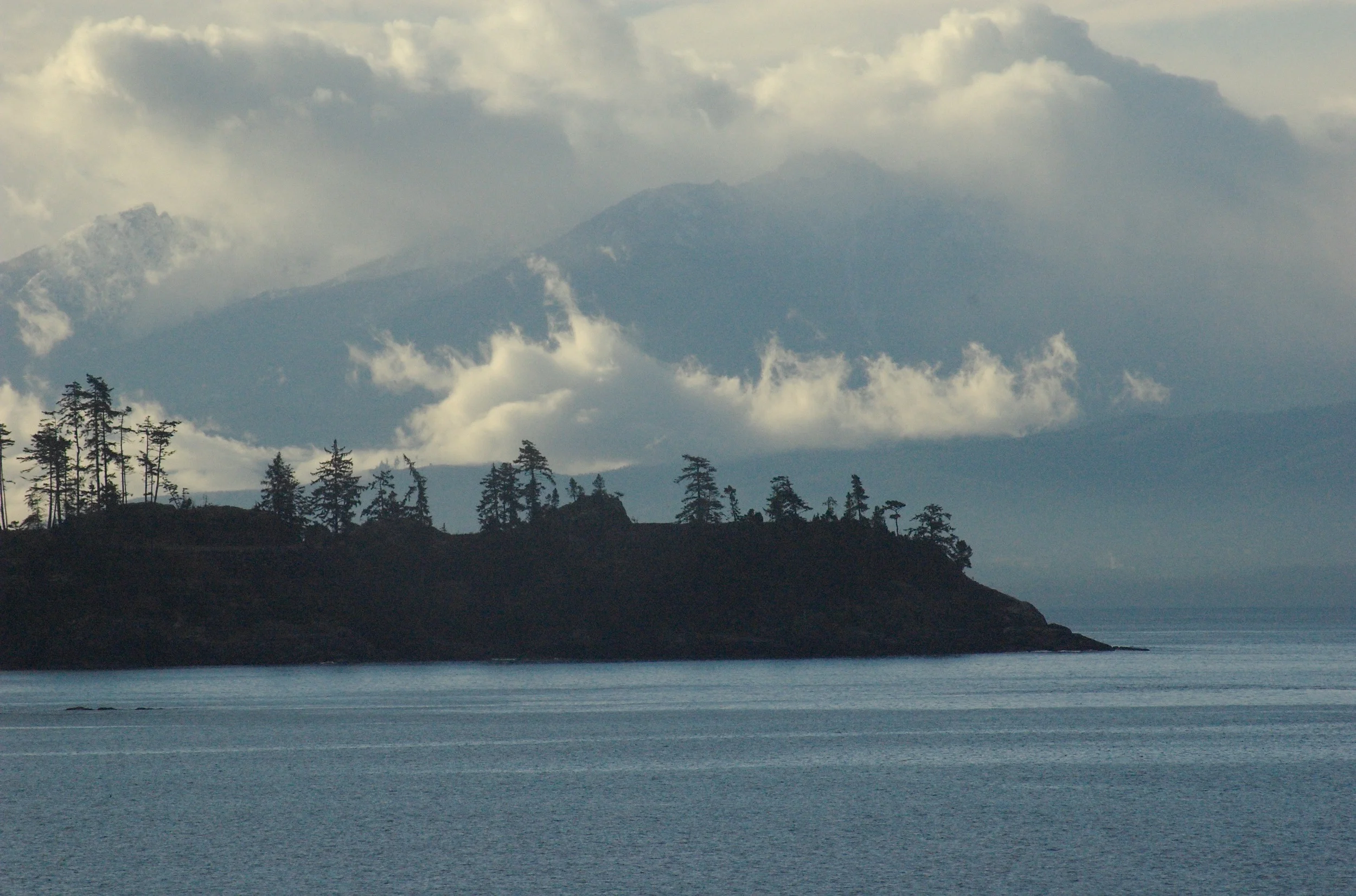 DSC_0218_13 2006:03:25.jpg