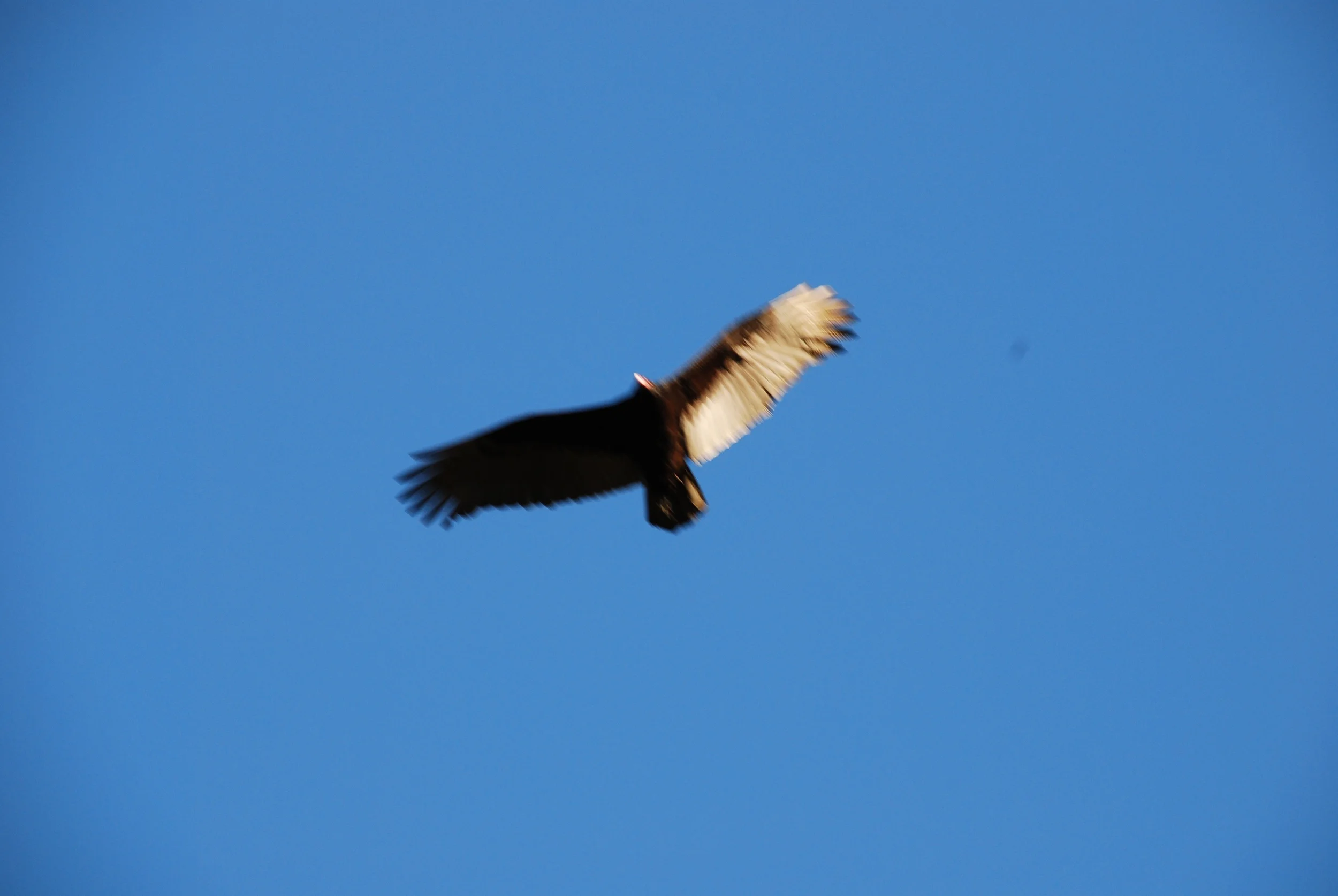 DSC_1672.jpg