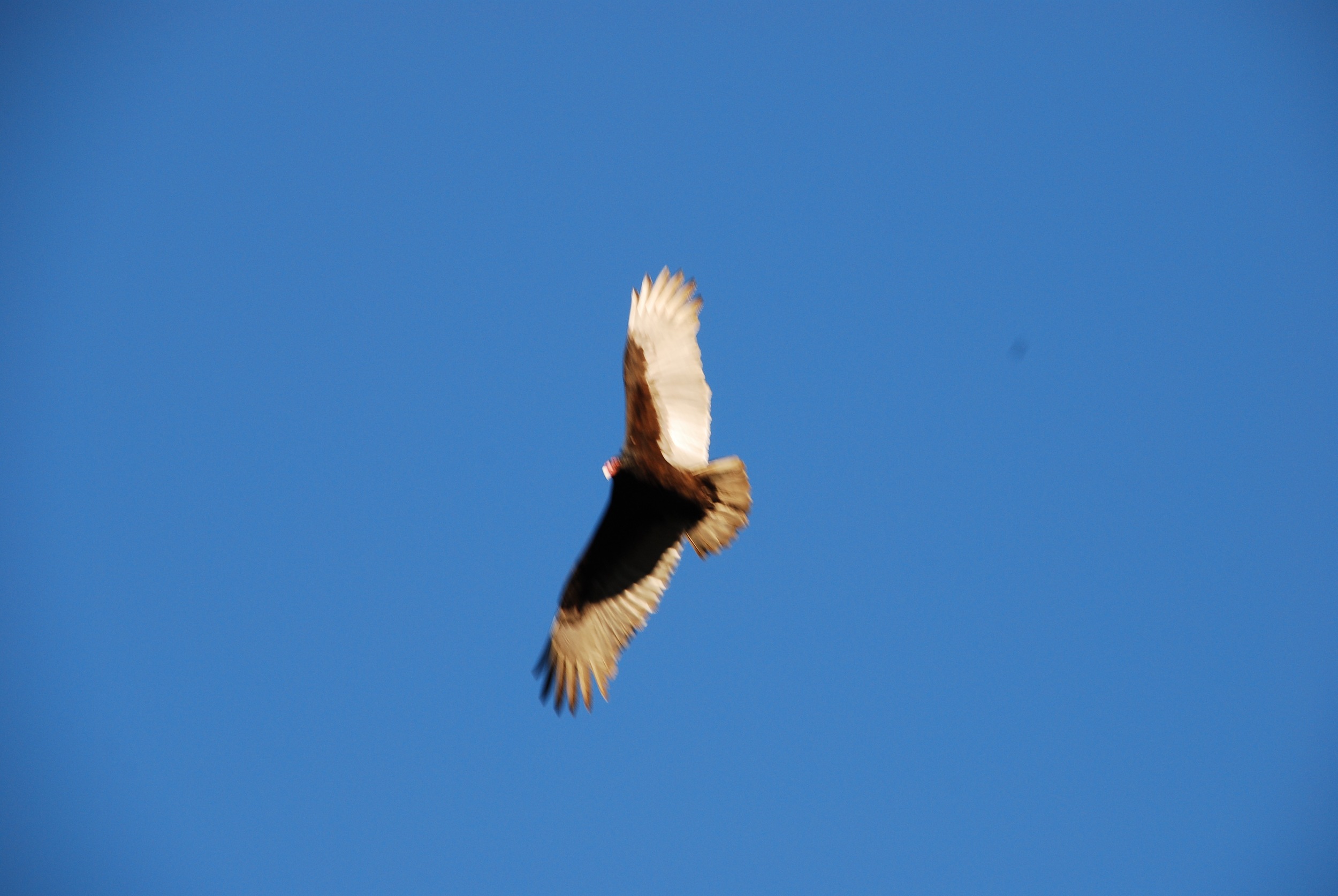 DSC_1679.jpg