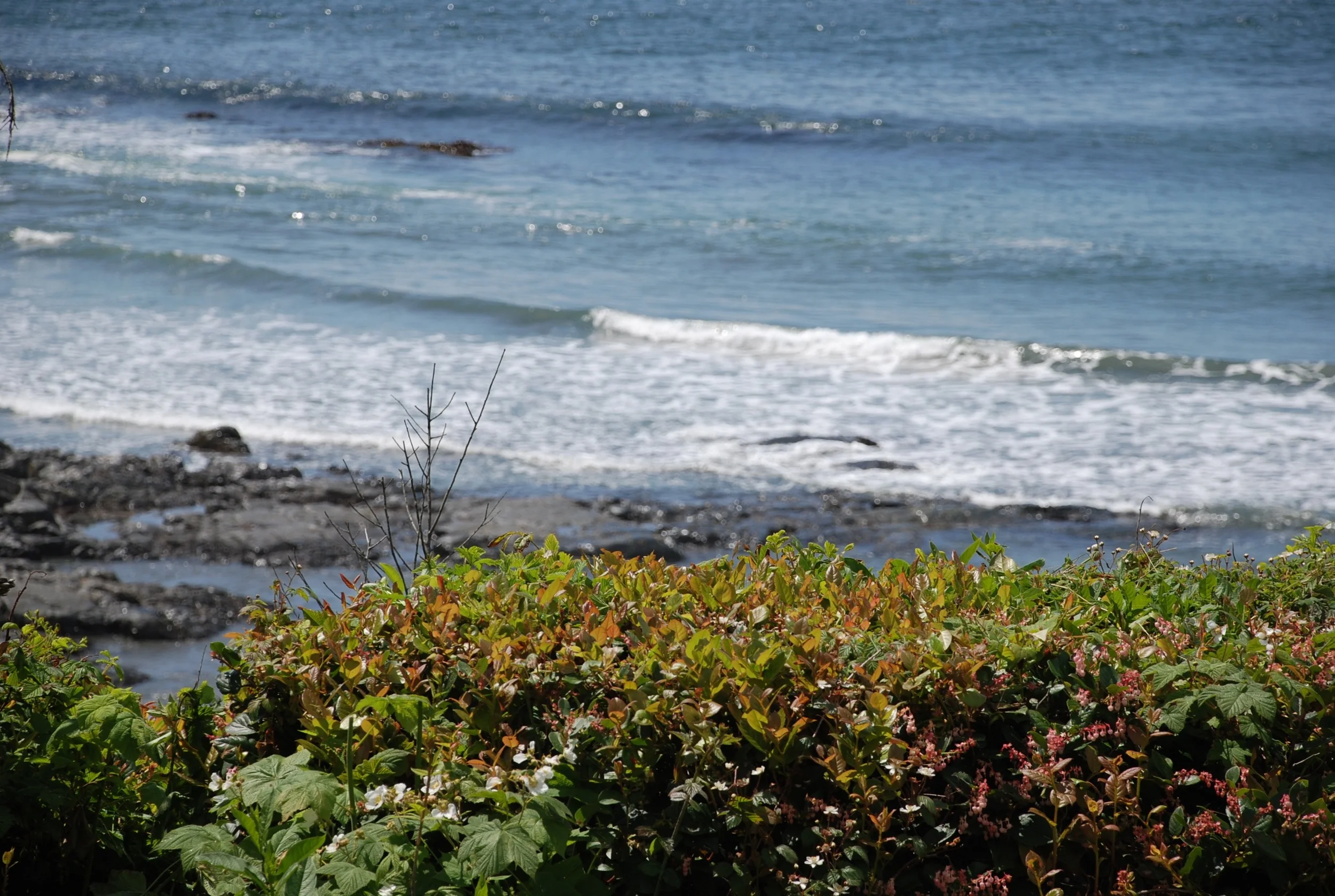 DSC_3109.jpg