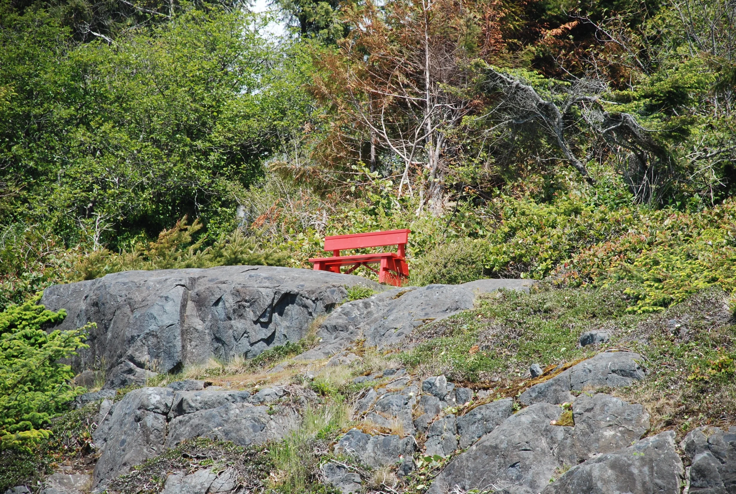 DSC_3110.jpg