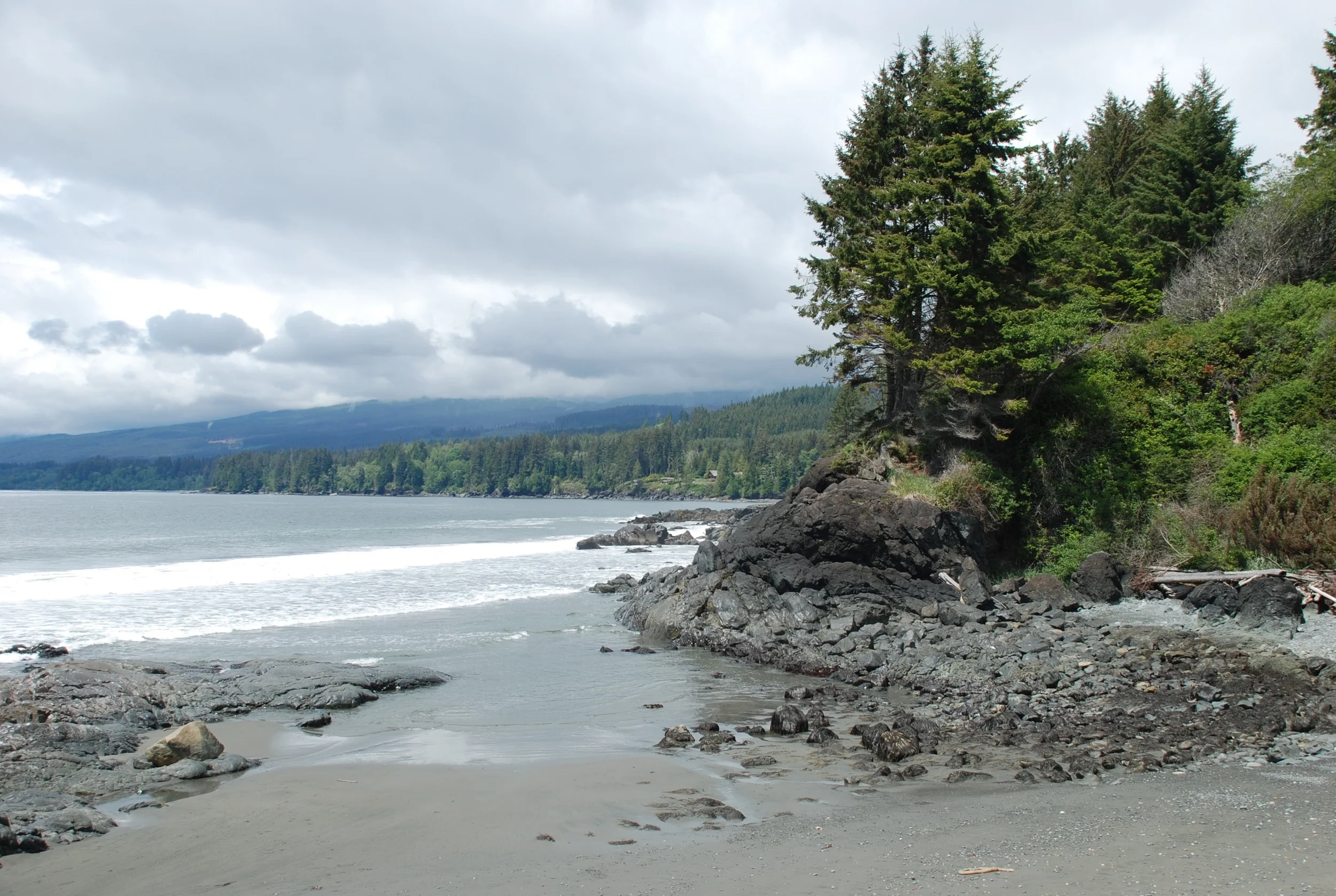 DSC_3112.jpg