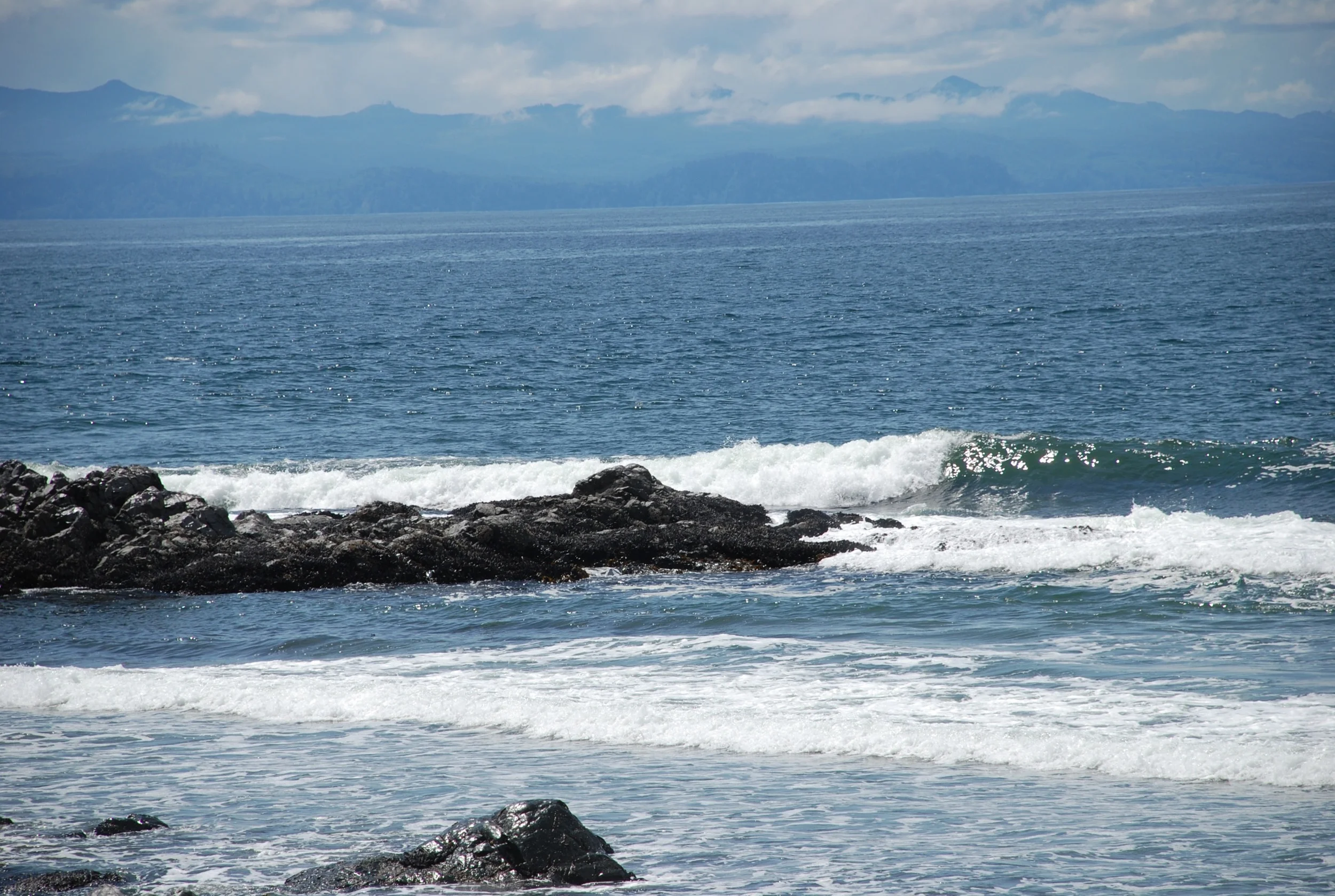 DSC_3115.jpg