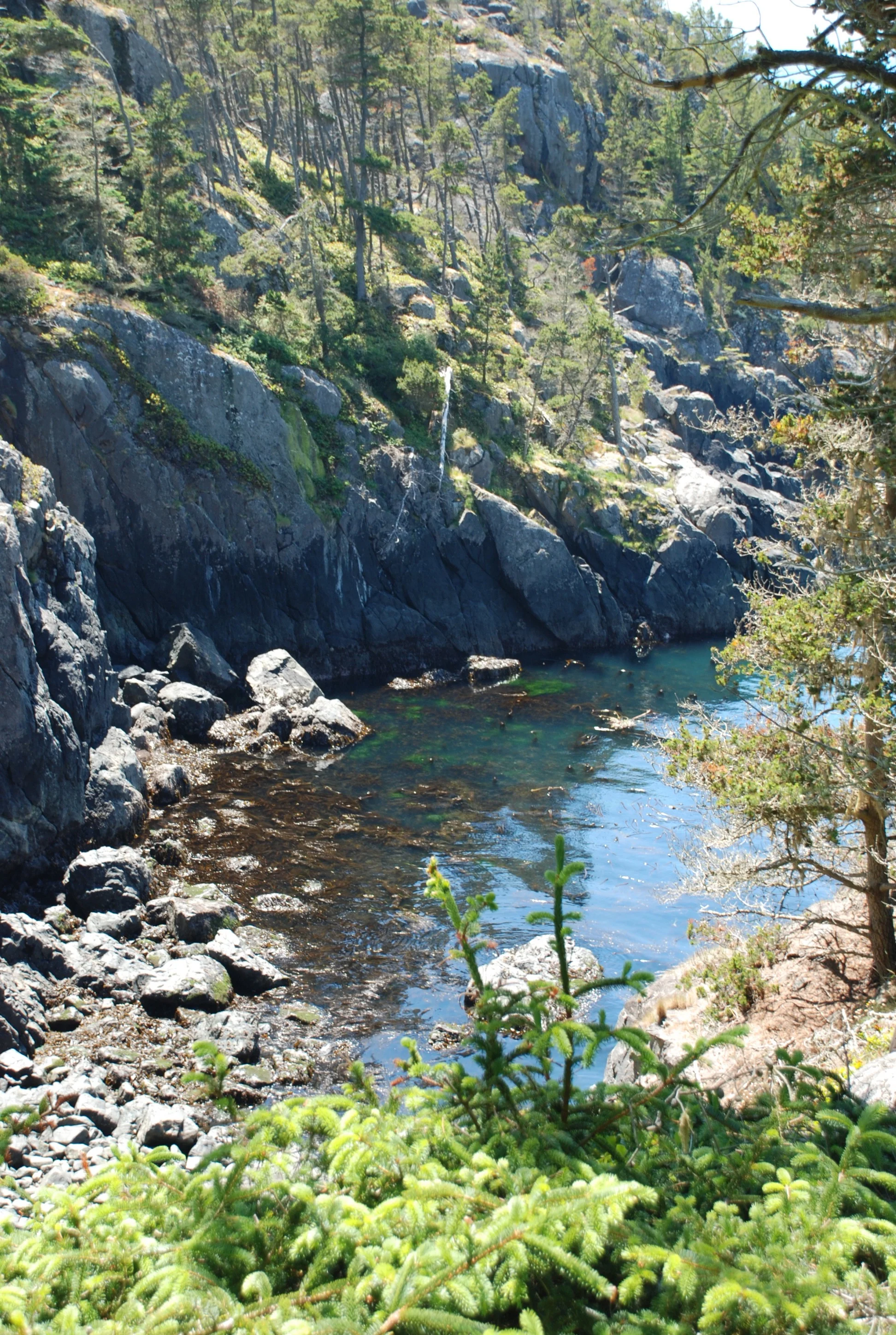 DSC_3247.jpg