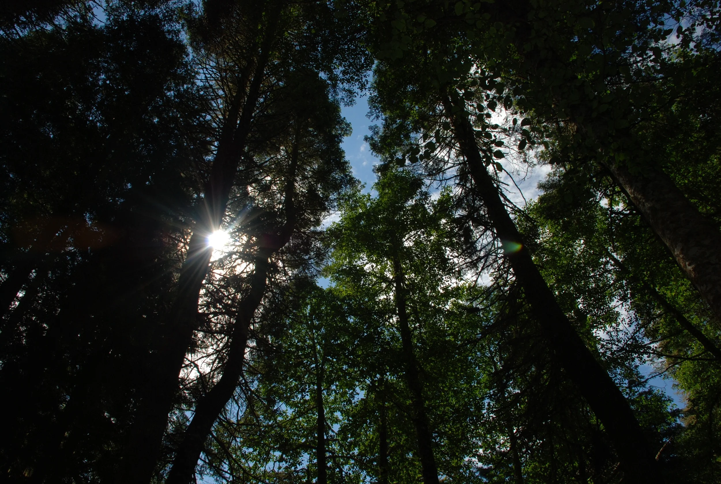 DSC_3296.jpg