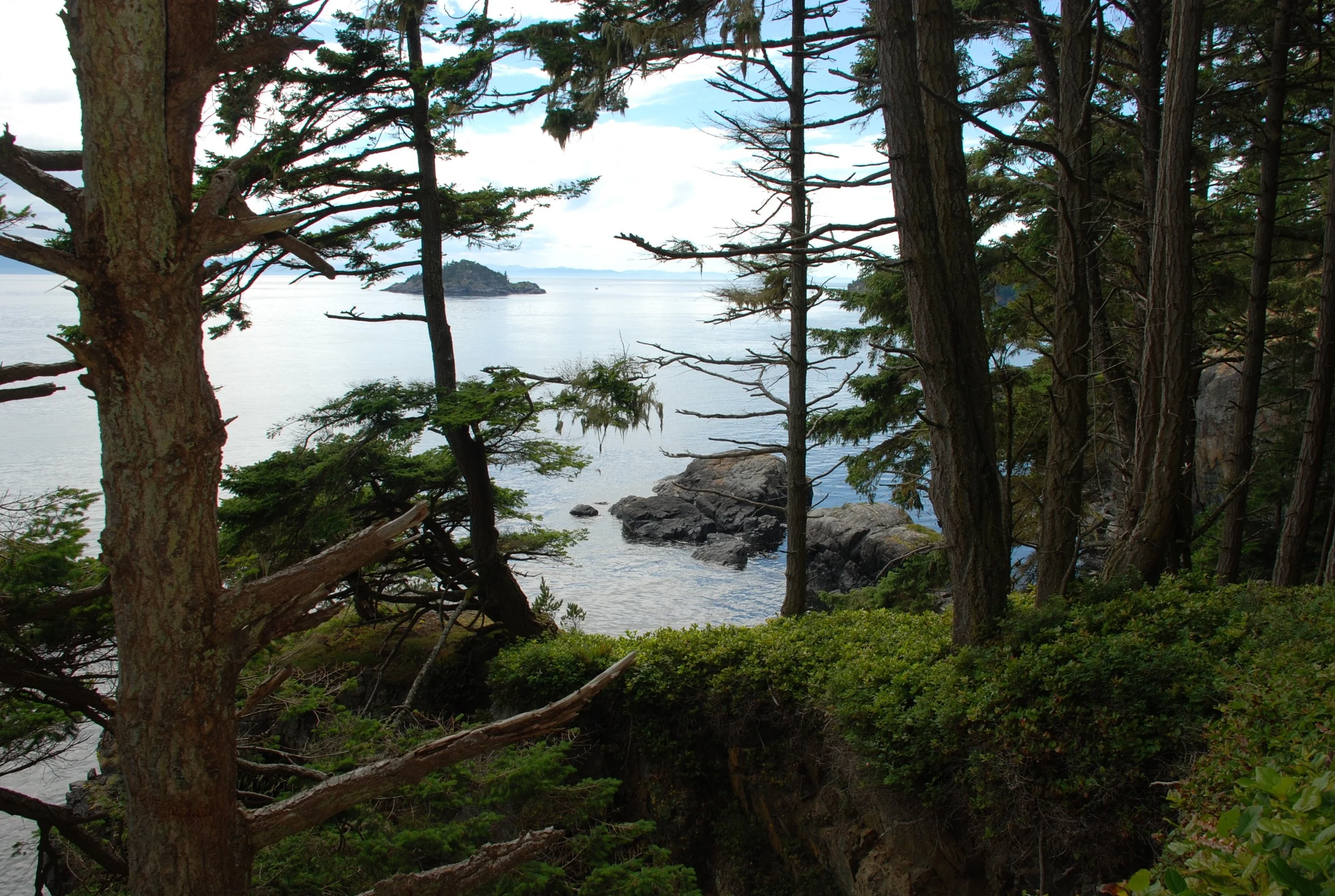 DSC_3312.jpg