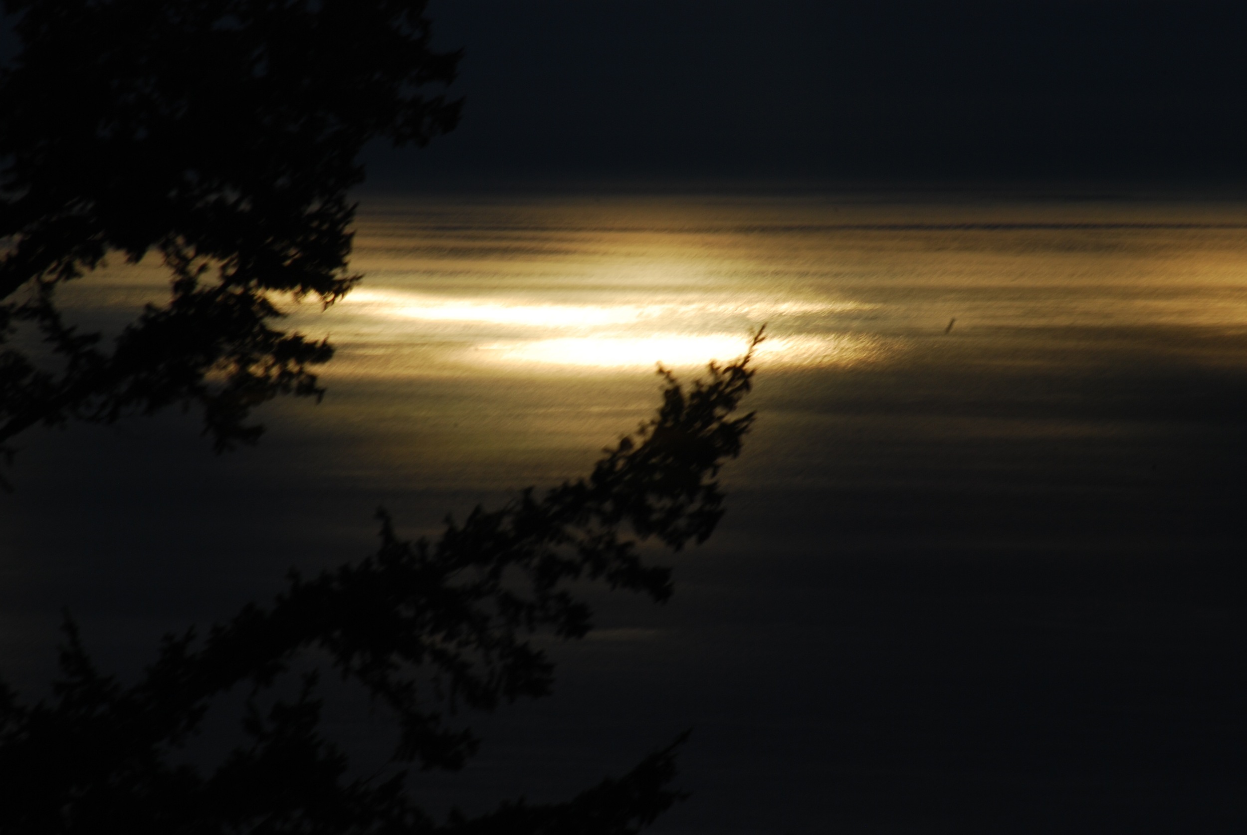 DSC_3748.jpg