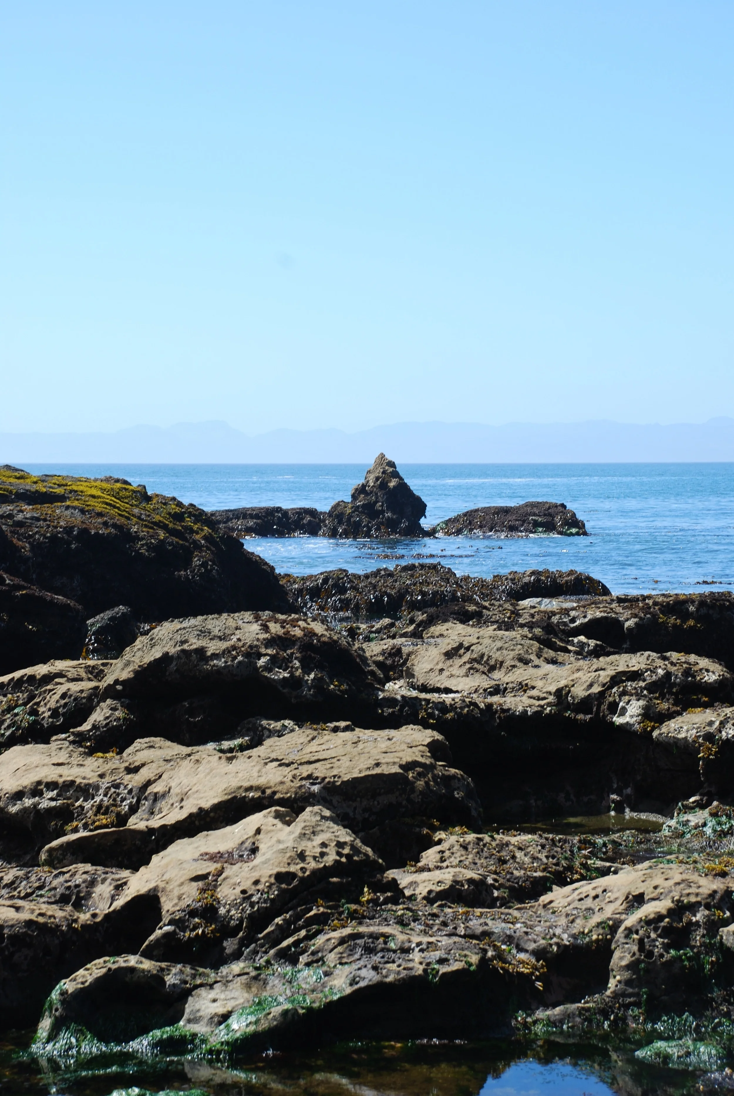 DSC_4335.jpg