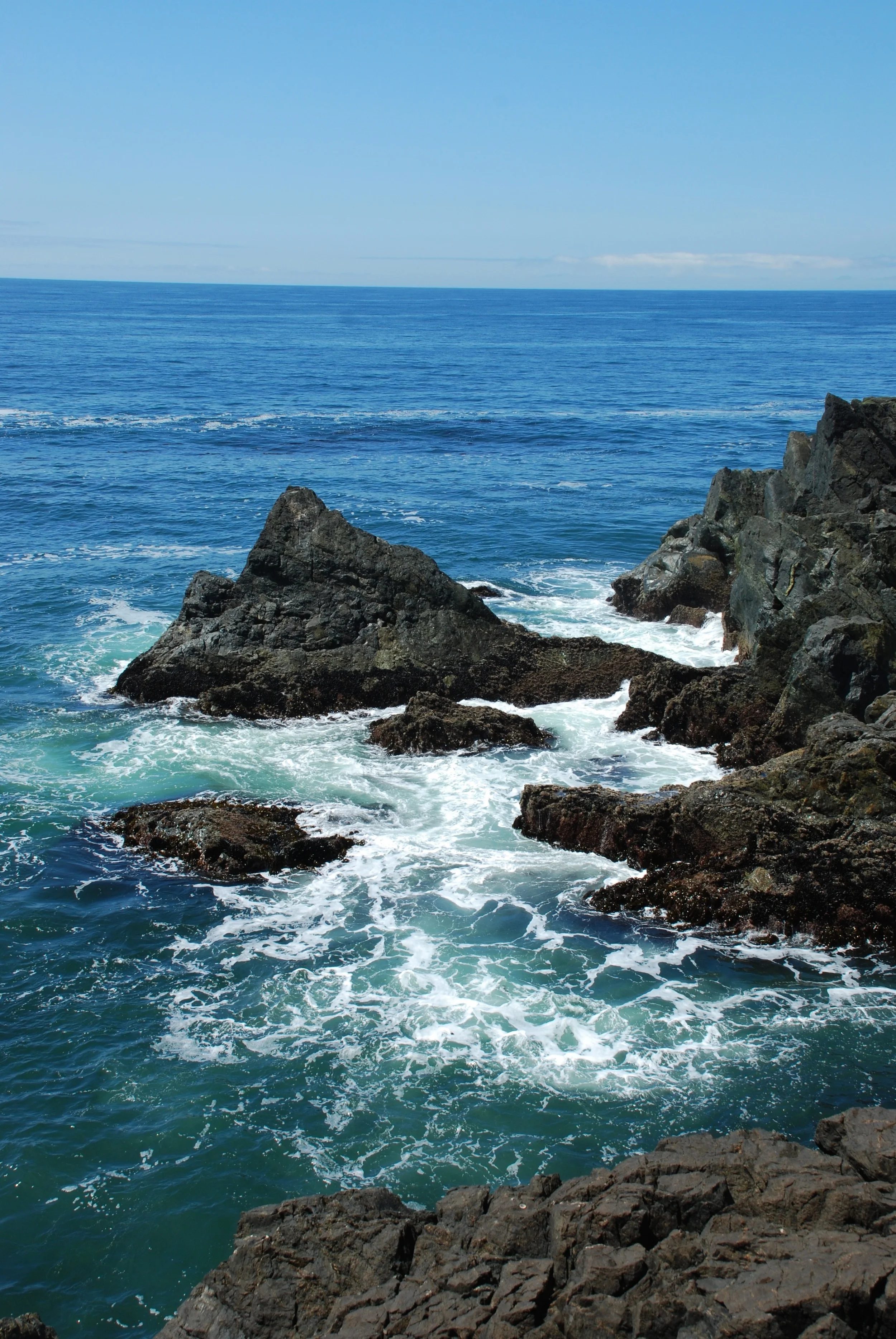DSC_4254.jpg