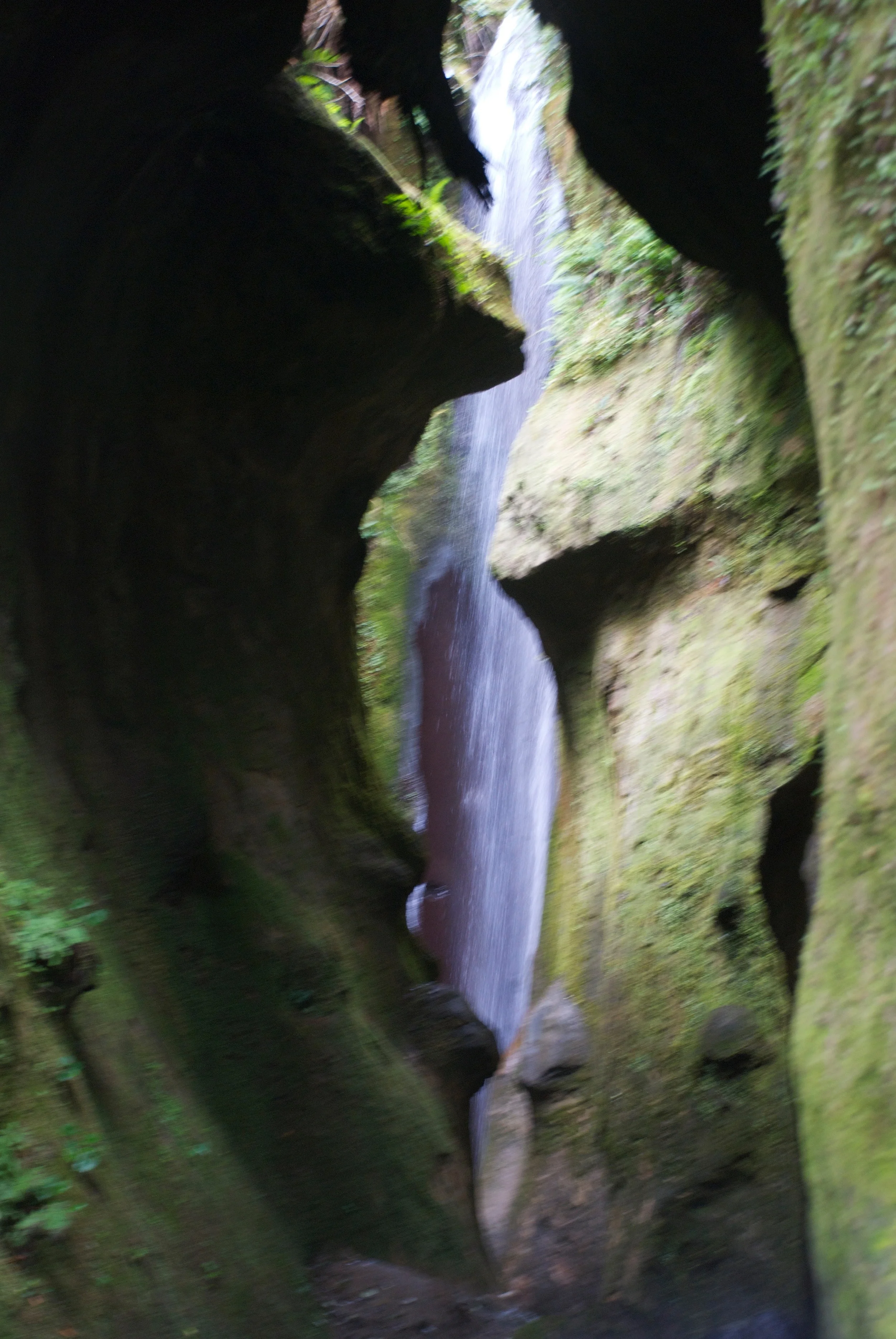 DSC_5306_2.jpg