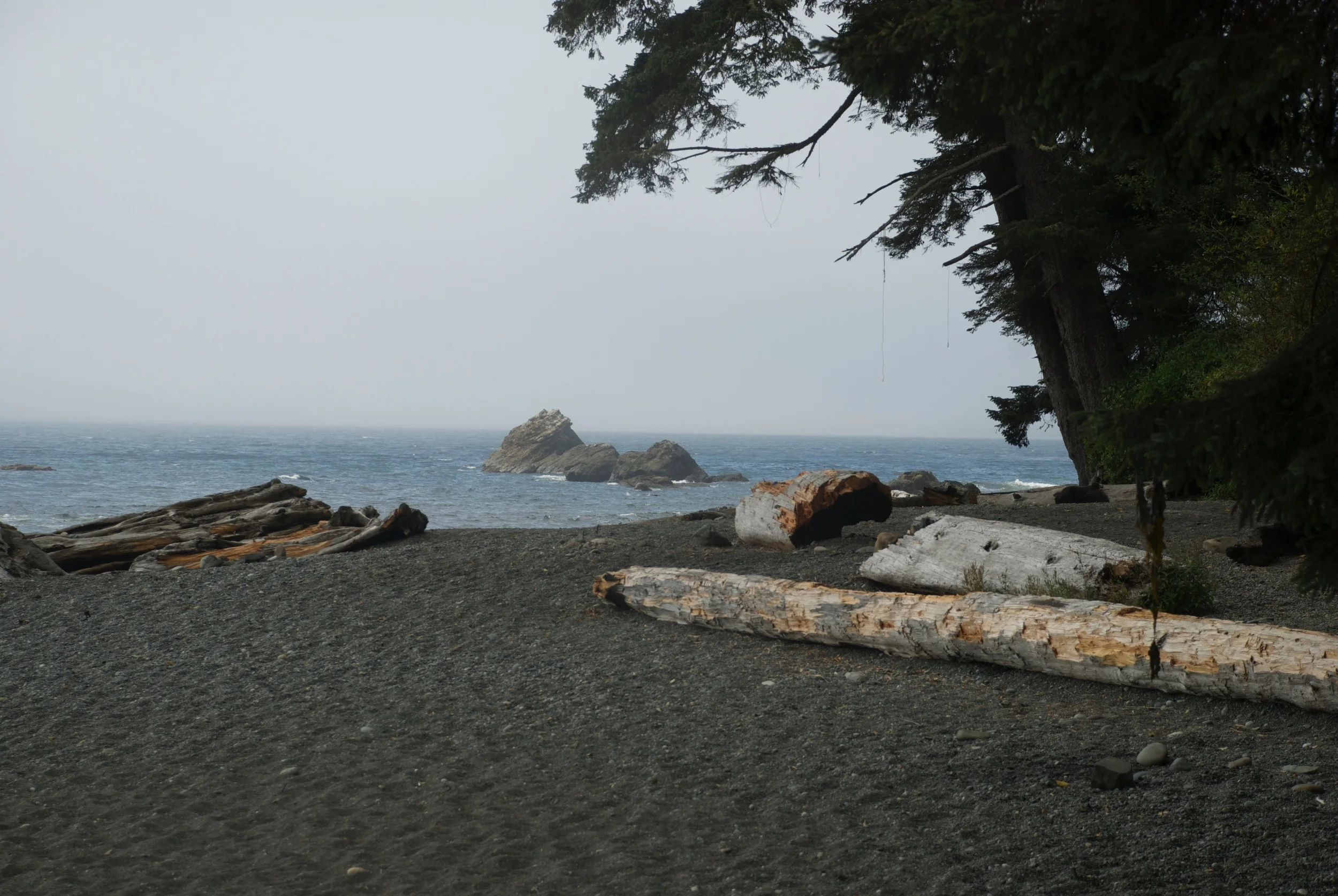 DSC_5337 1.jpg