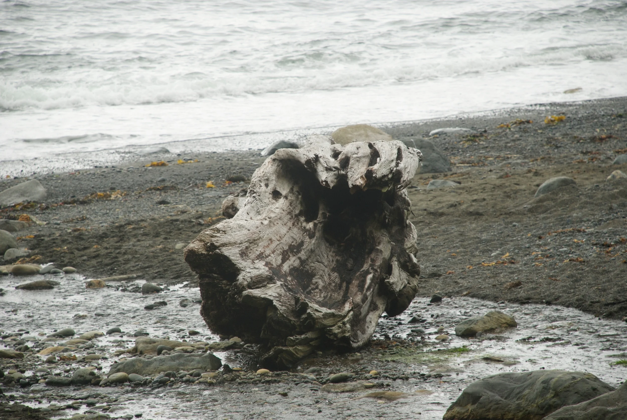 DSC_5334 1.jpg