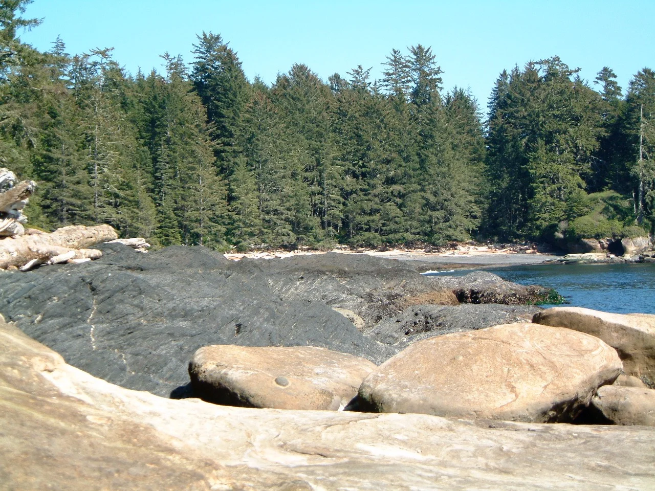 DSCF0145_6.jpg