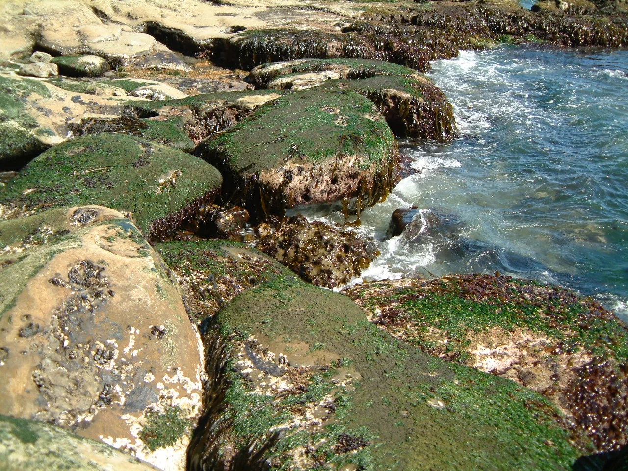 DSCF0141_4.jpg