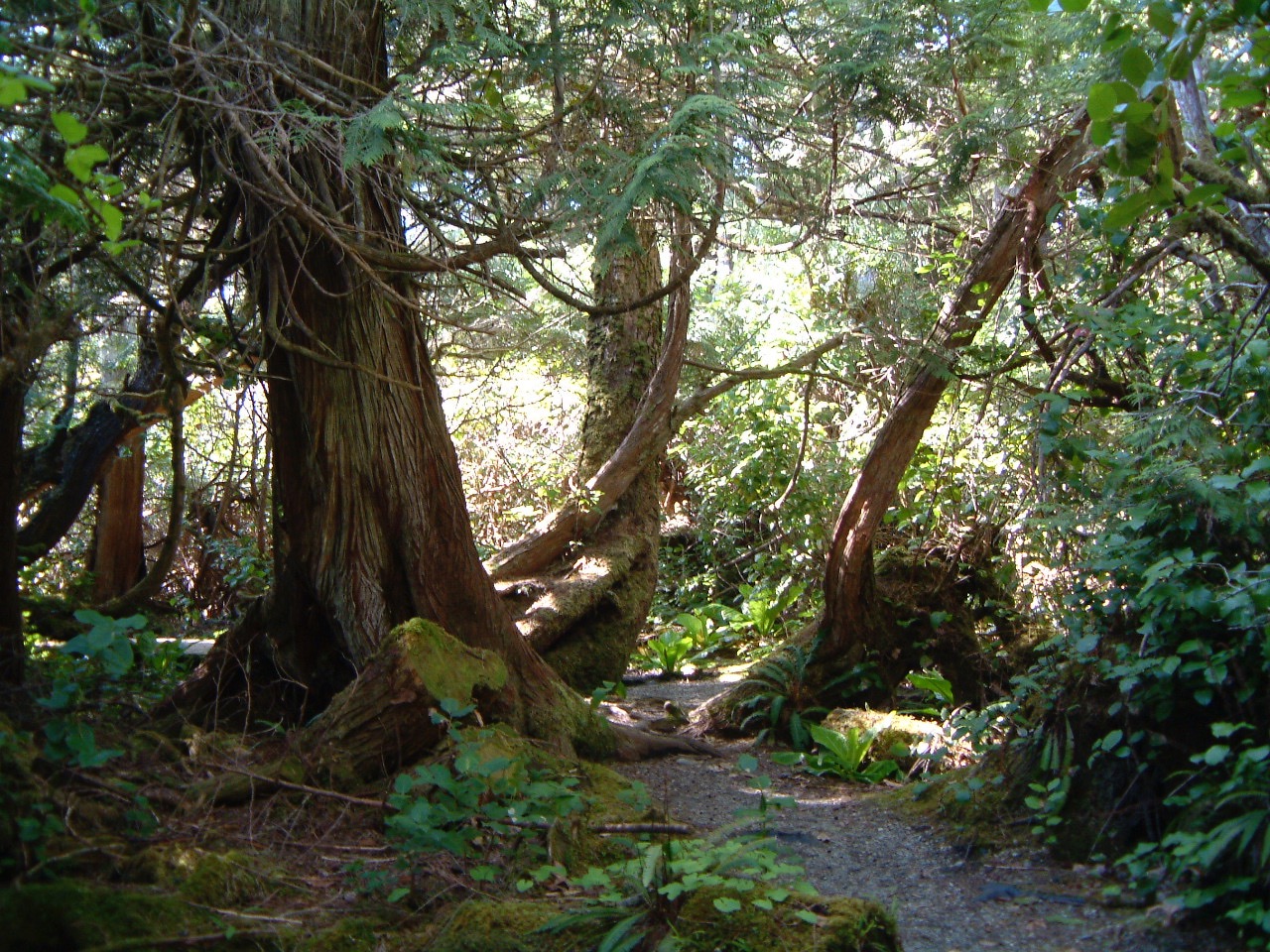 DSCF0177_4.jpg