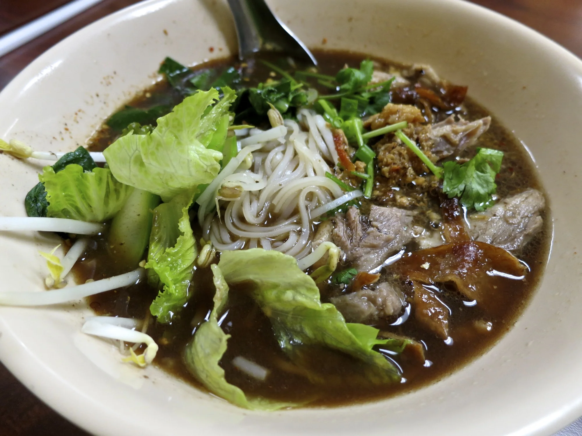 Duck noodle soup