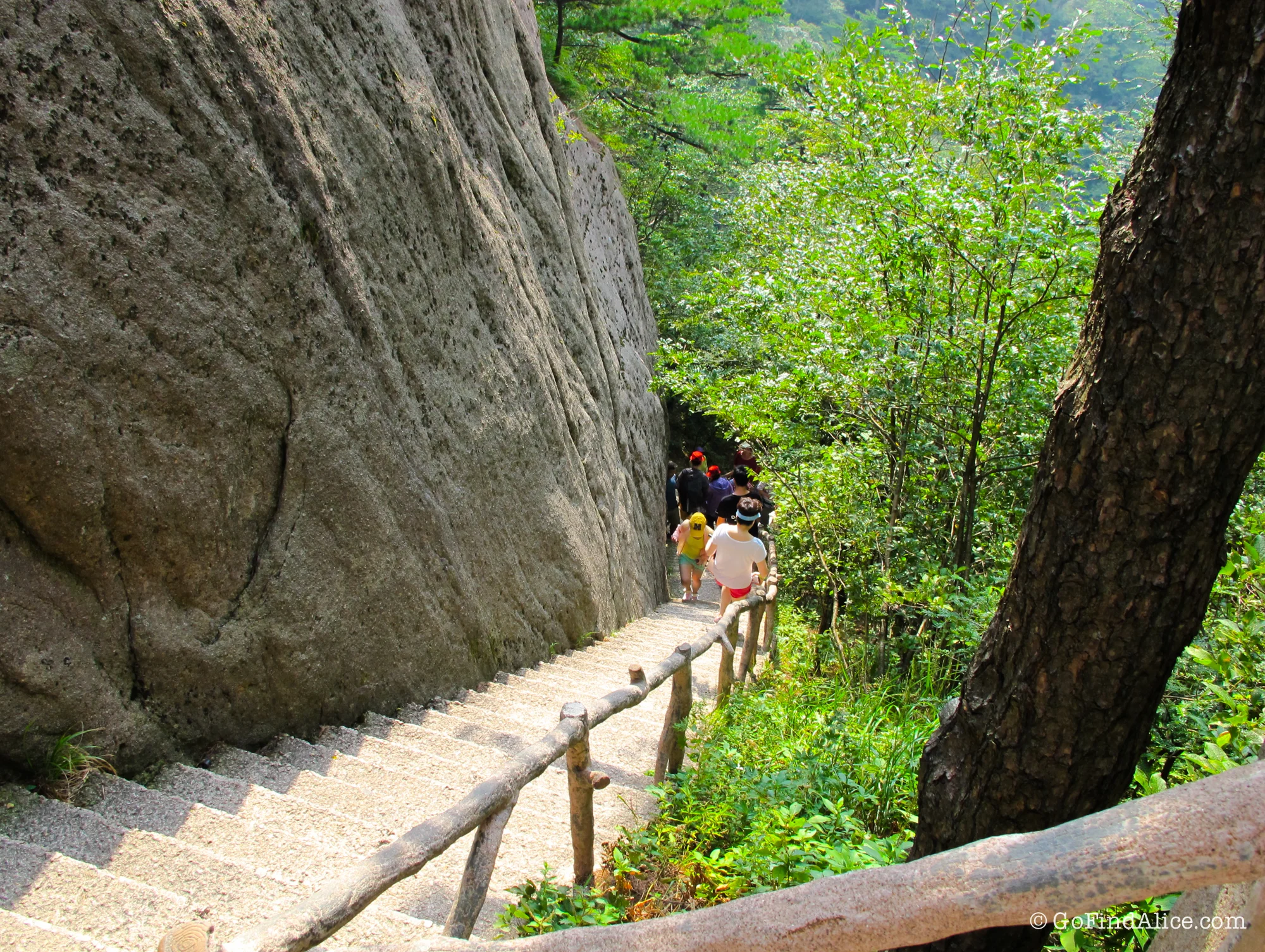 Steps