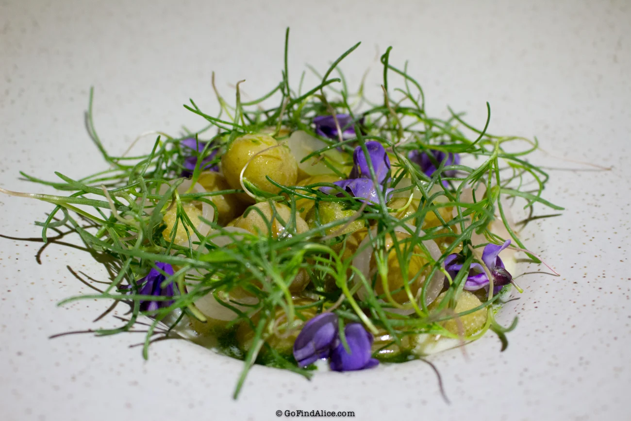 potatoes_redmedicine.jpg