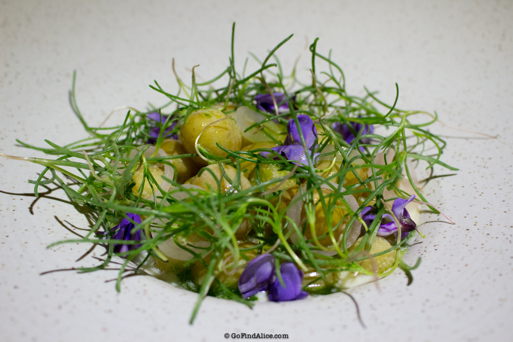 [Los Angeles] Red Medicine (CLOSED)