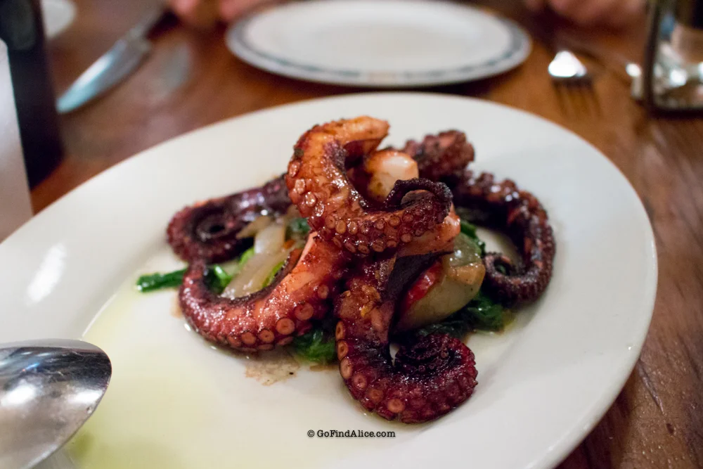 Baby grilled octopus