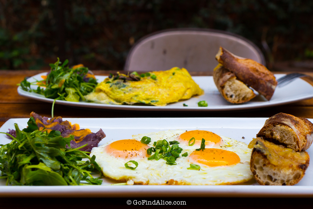 [Los Angeles] The Daily Dose