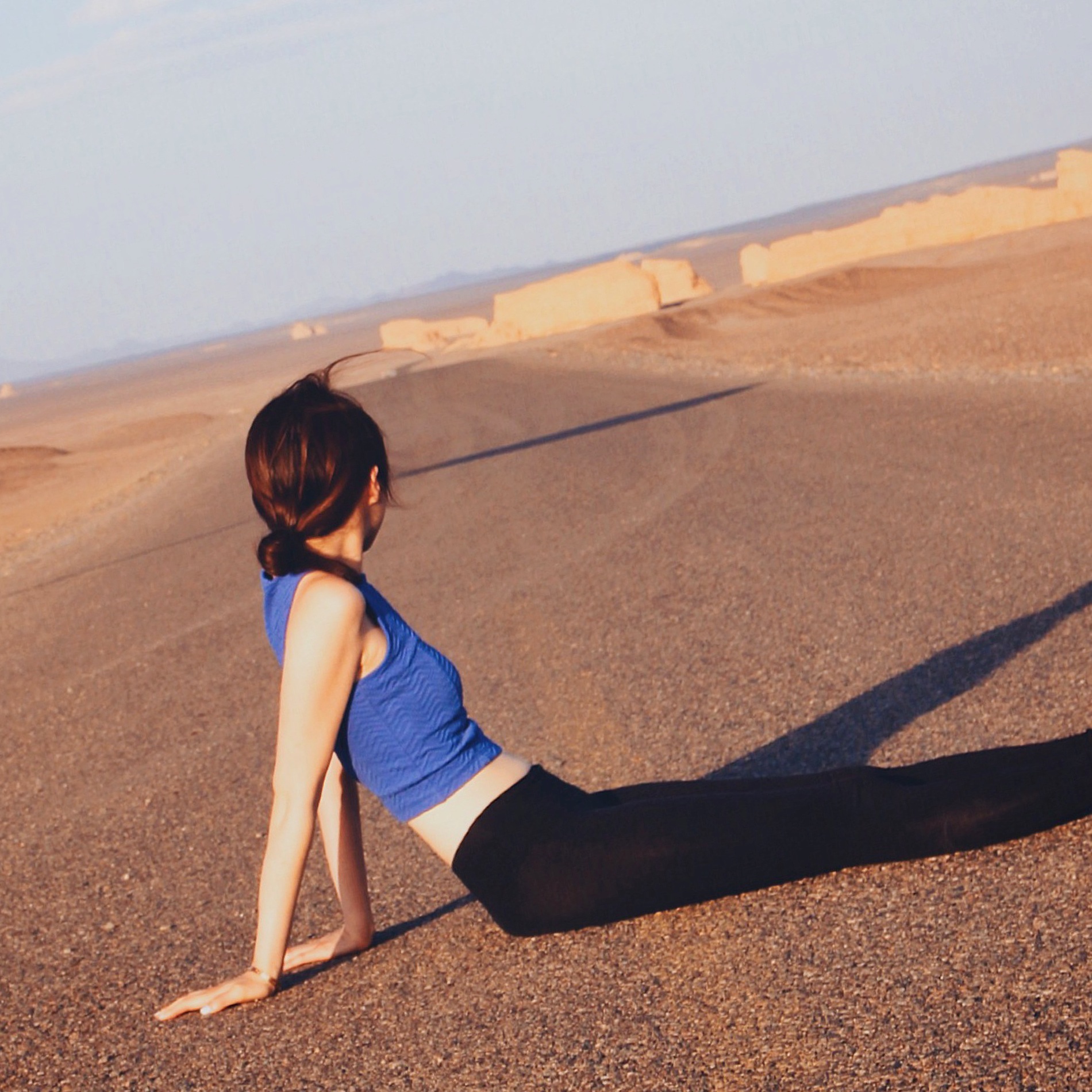 Melting in the Gobi Desert