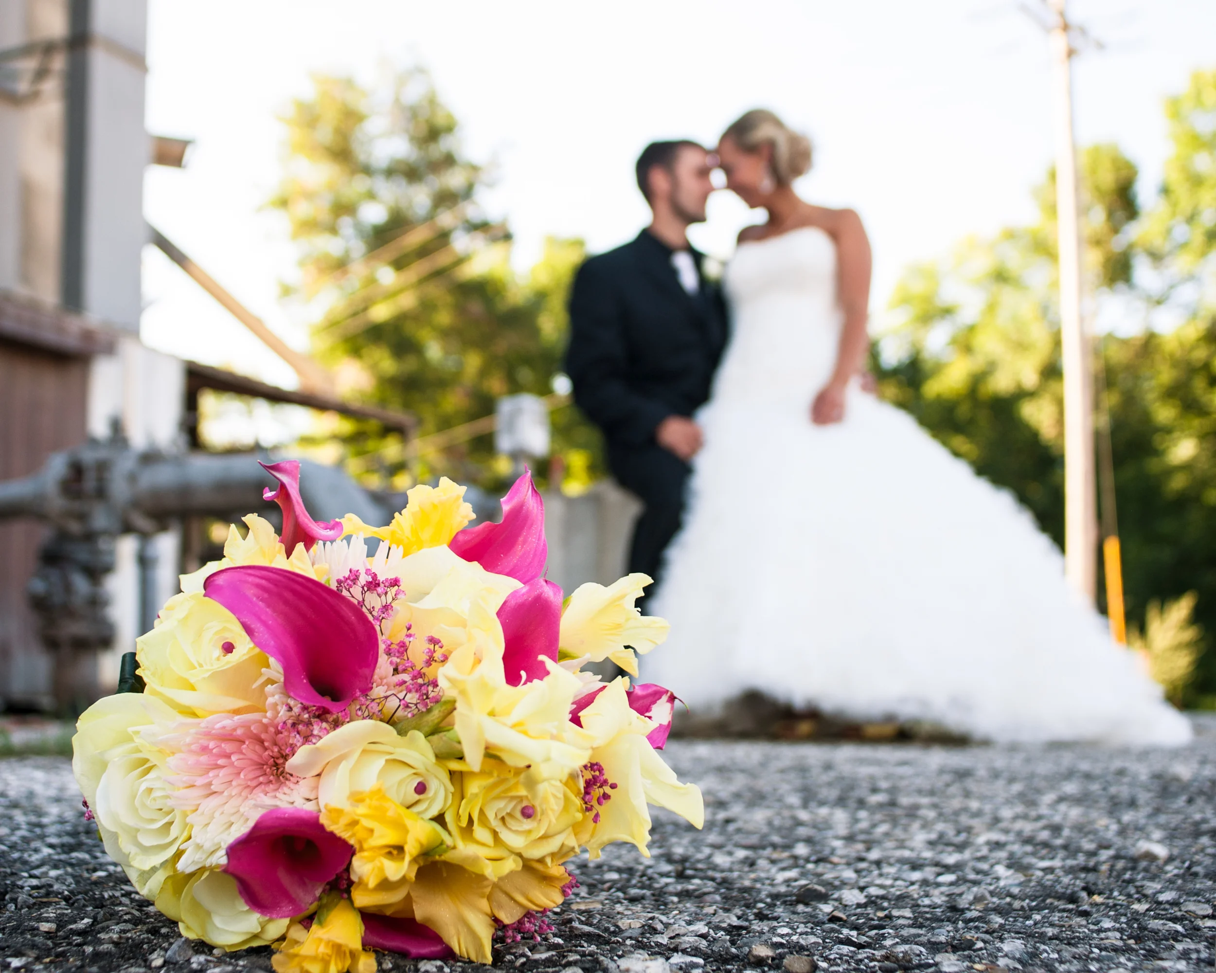 Flowers-6393.jpg