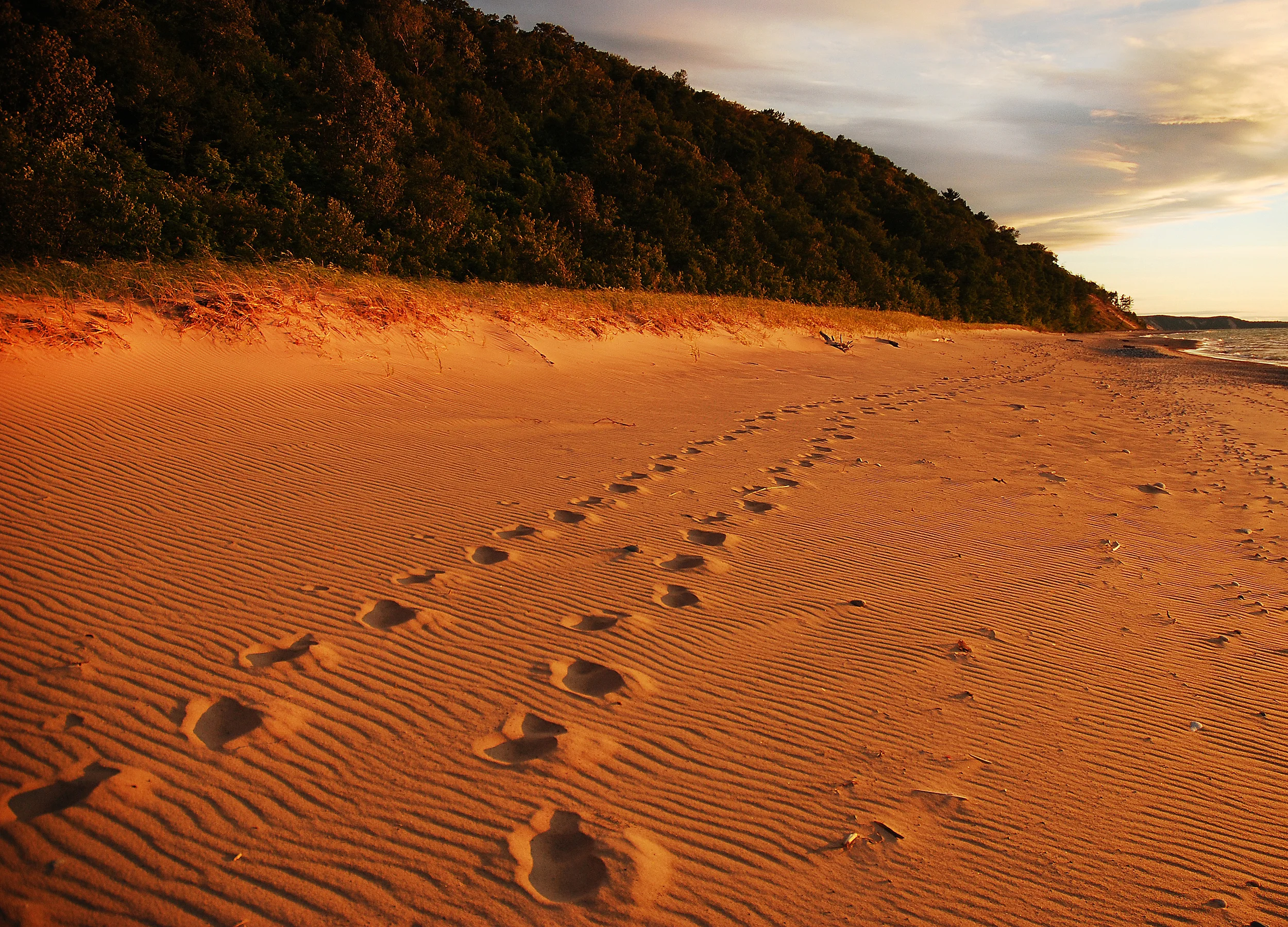 Beach Trails 2 SS.jpg