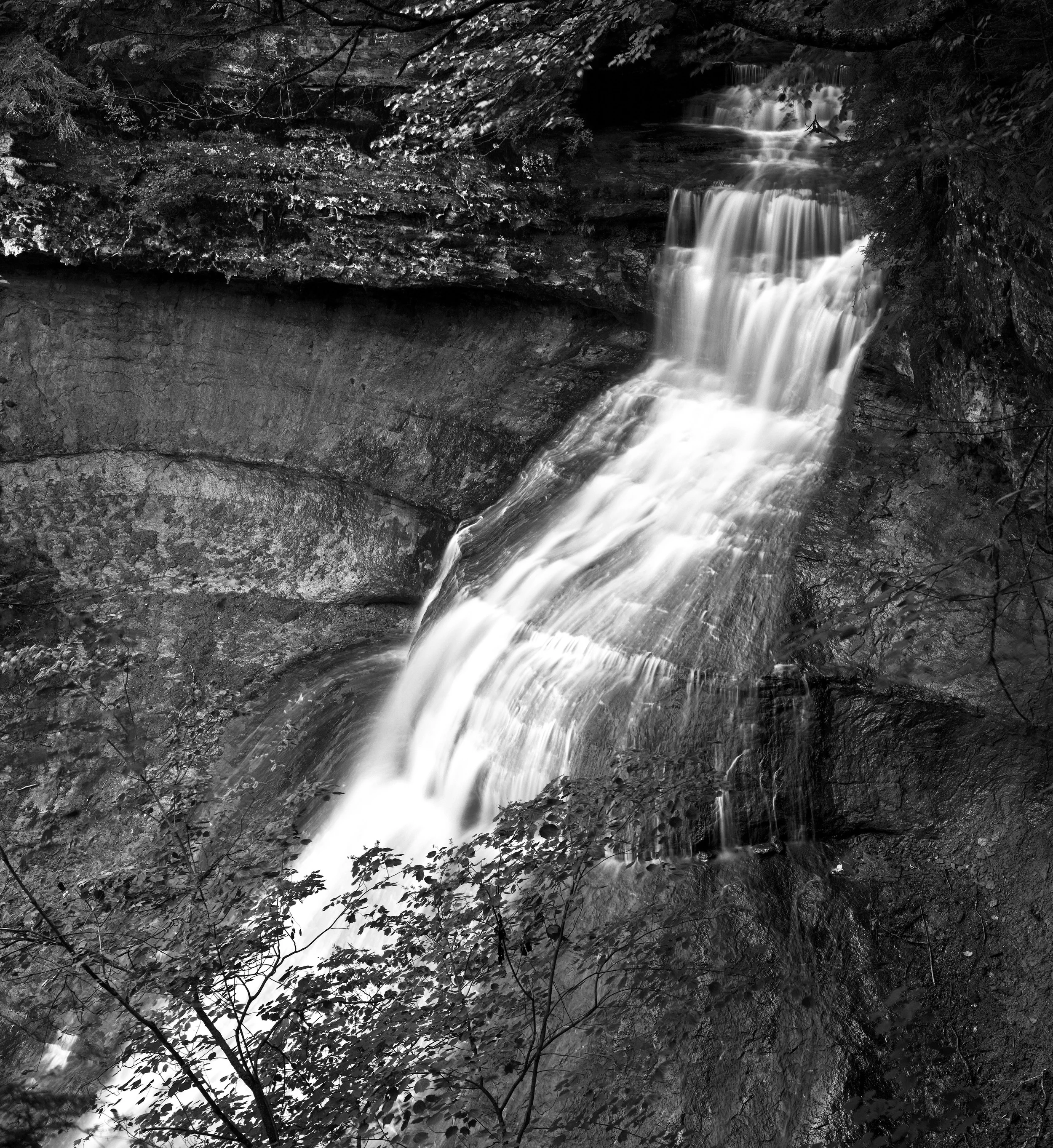 Falls-.jpg