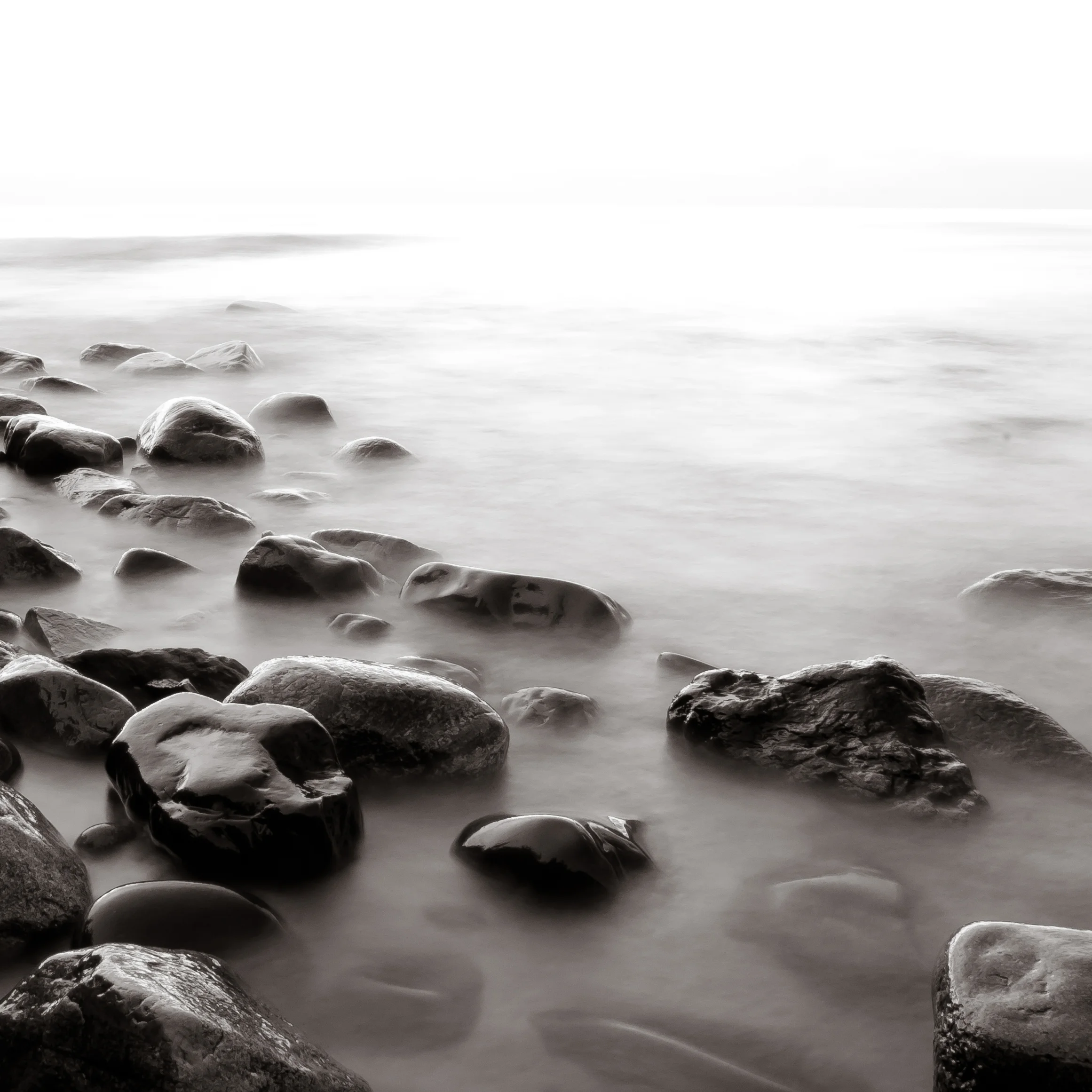 DSC_2892 SS.jpg