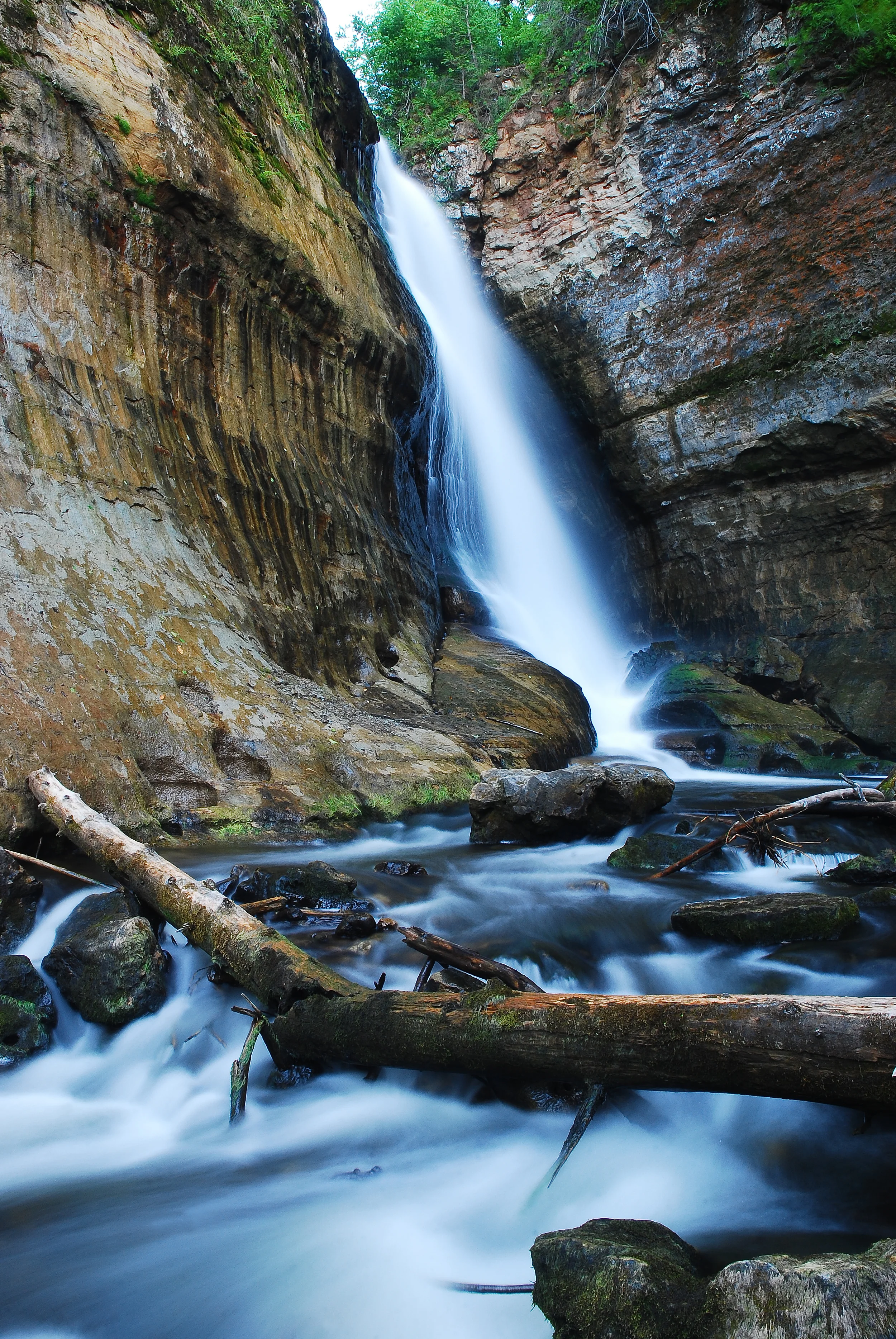 Miners Falls and Fallen Tree- SS.jpg