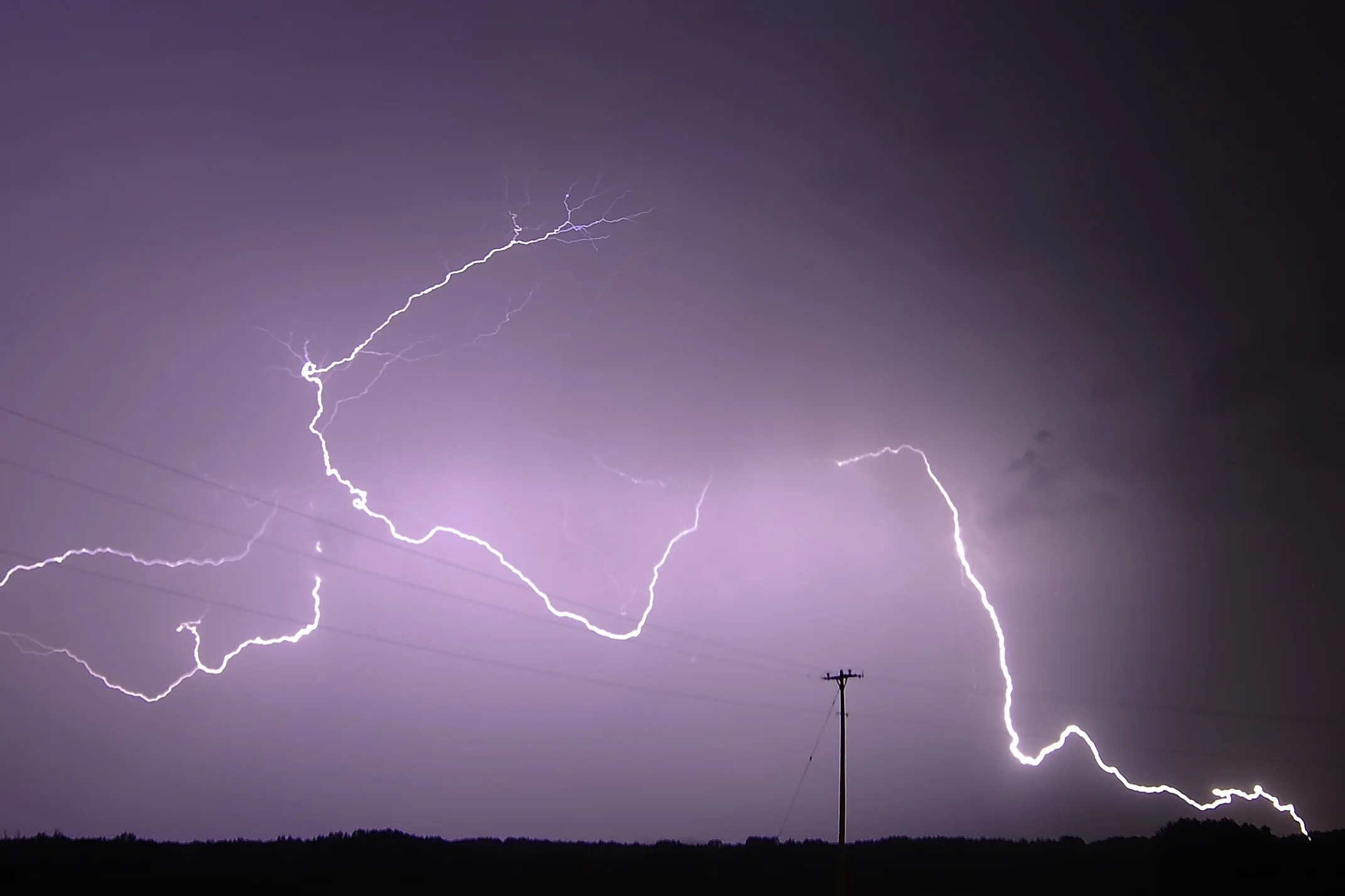 Livewire Cropped SS.jpg