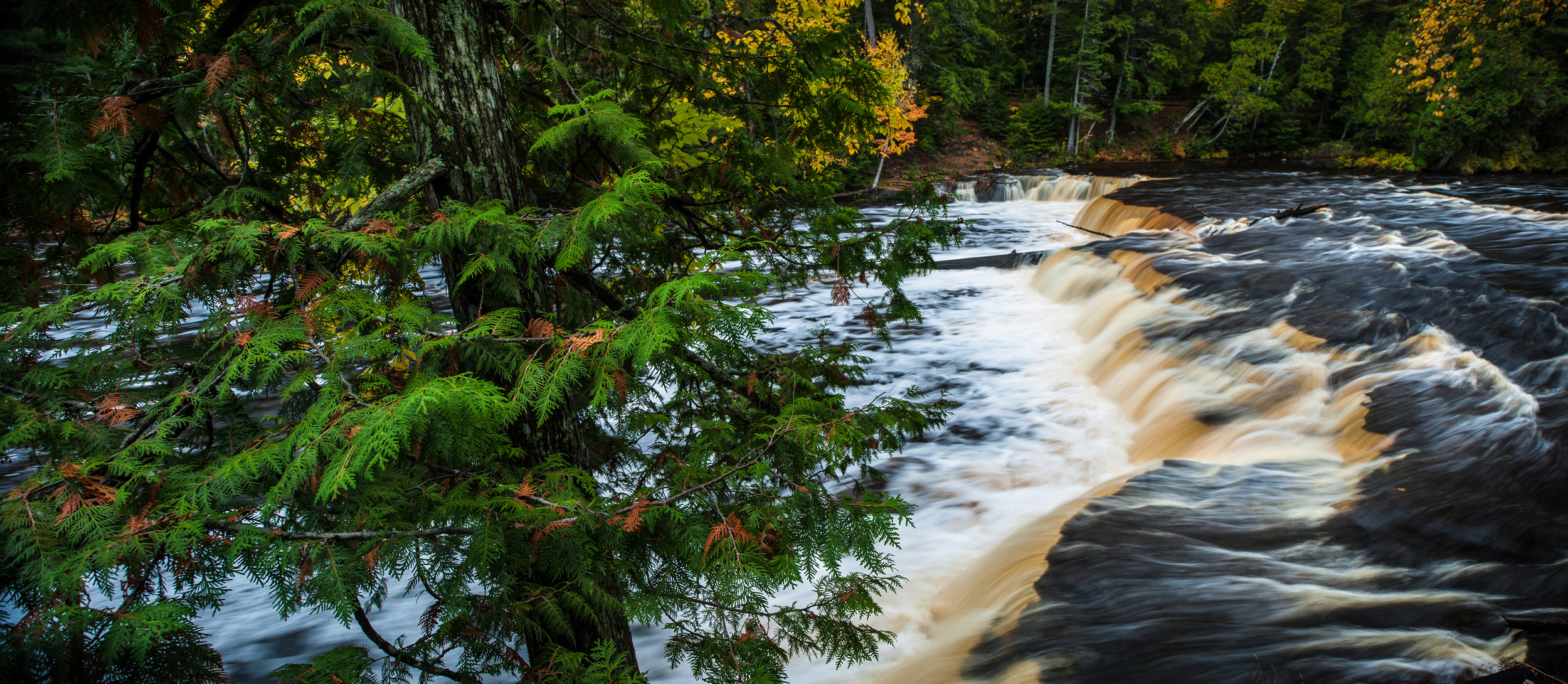 EJF White Cedar and Lower Falls-1.jpg
