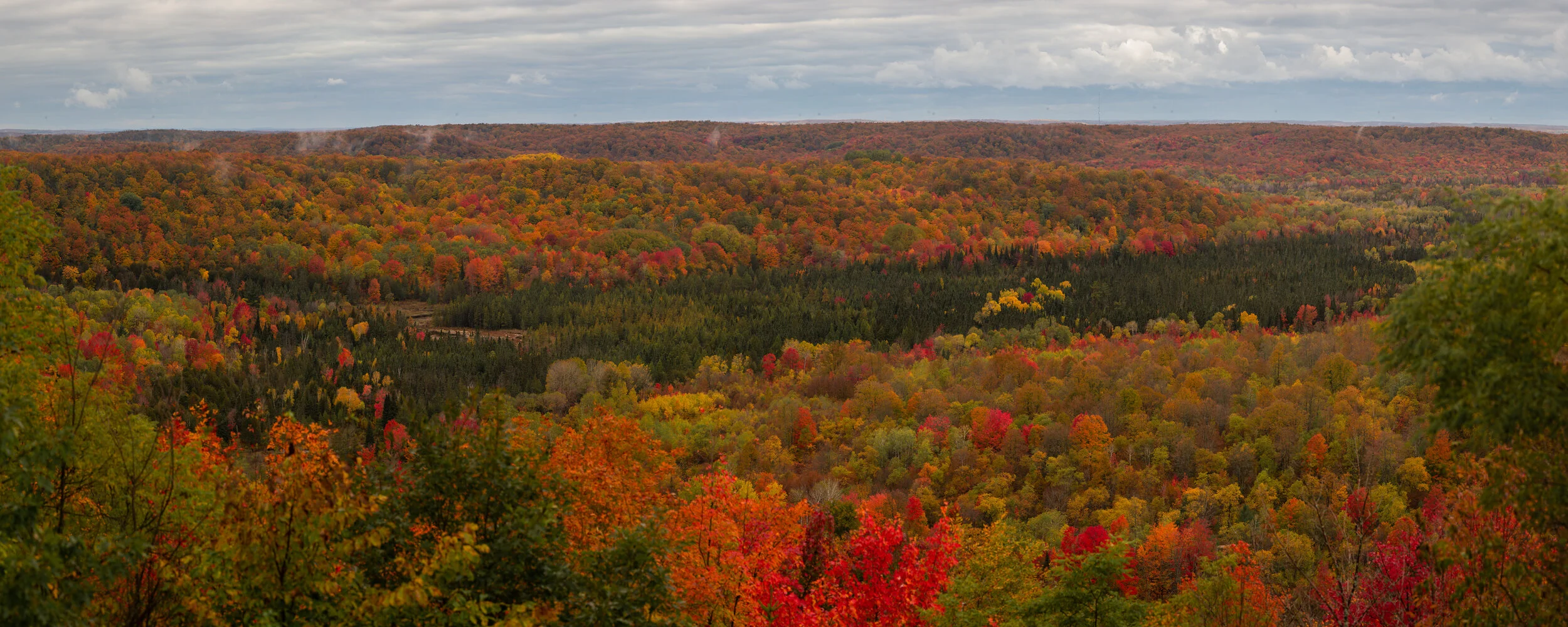 EJF_Deadman's_Hill_2019_website-1.jpg