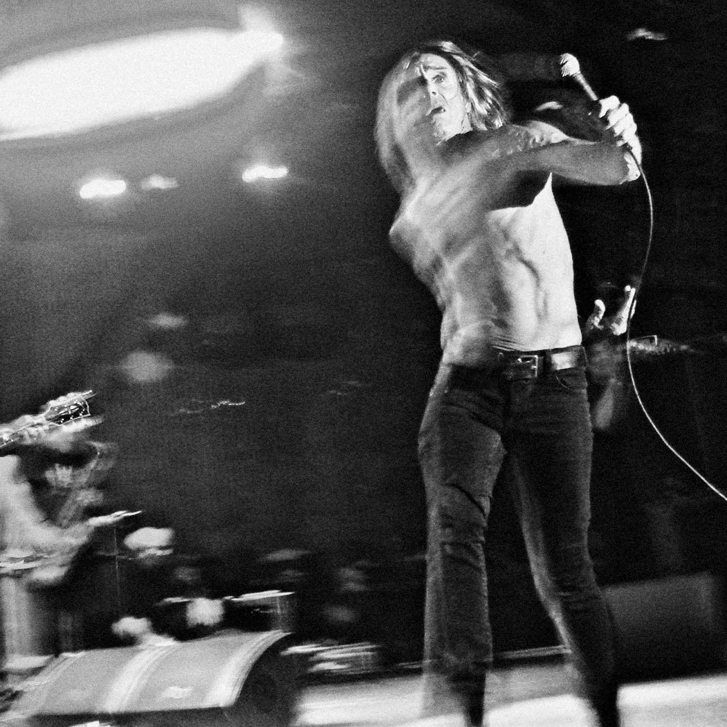 Iggy Pop