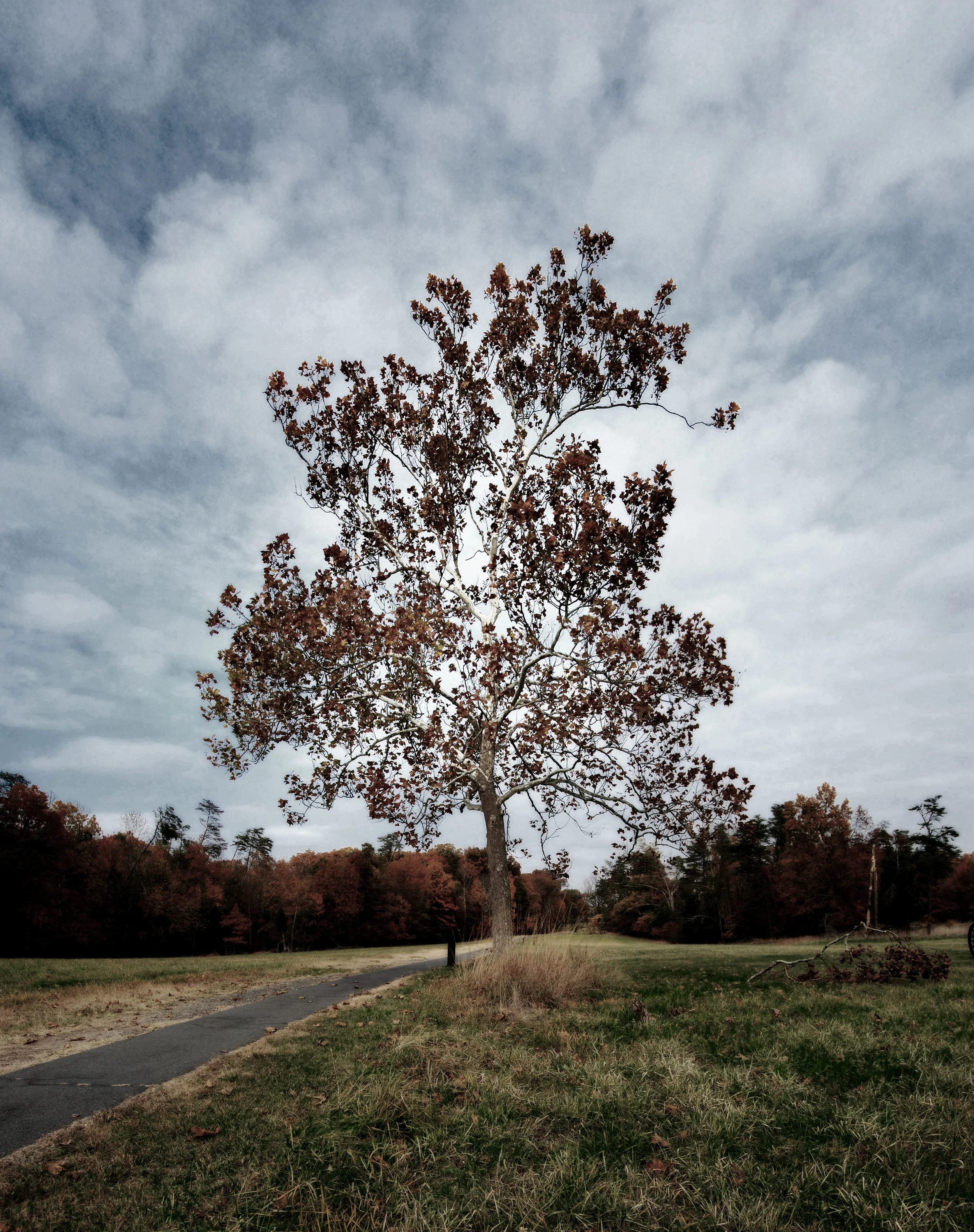photography_nov_3_pano_3.jpg