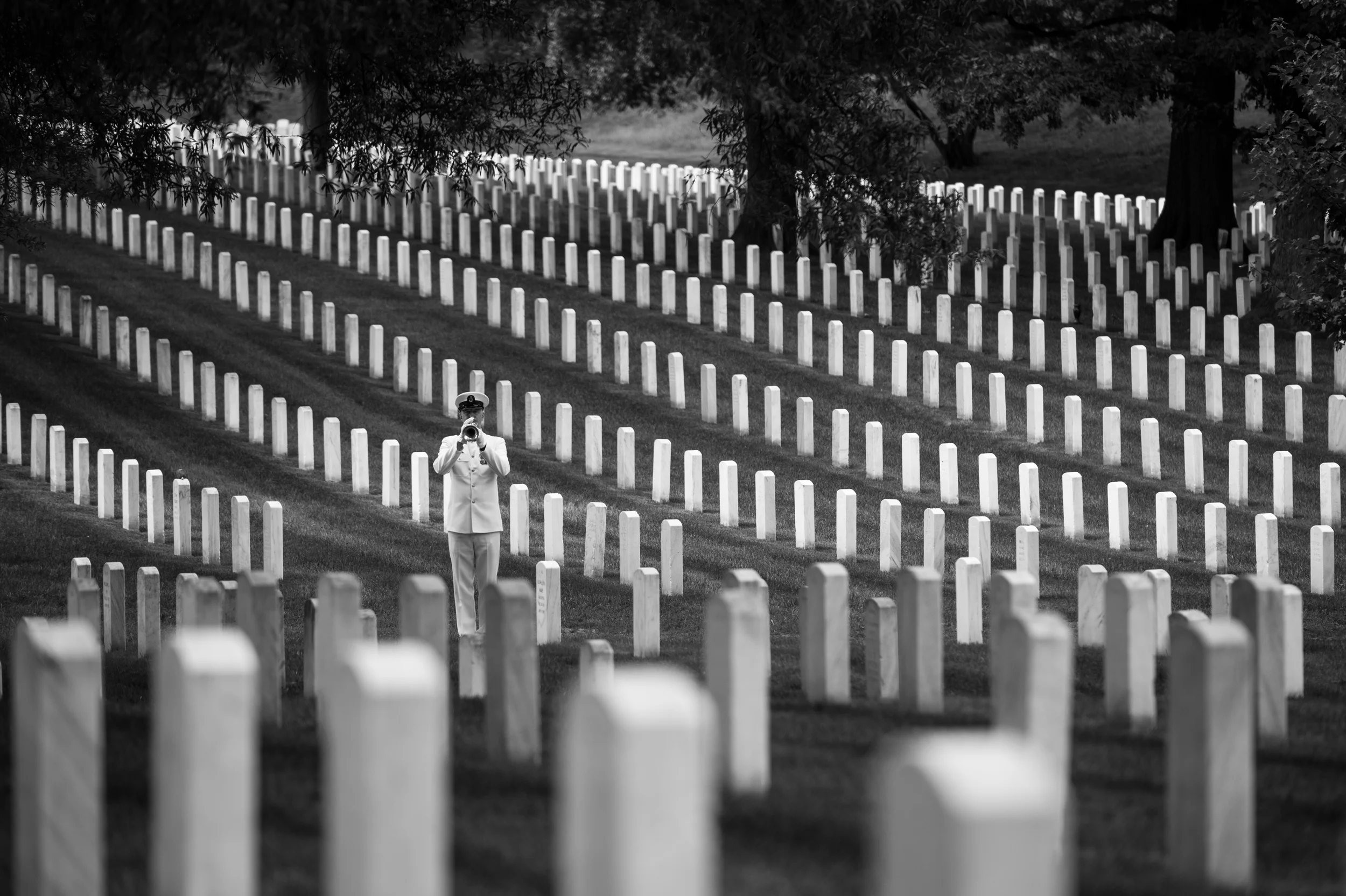 Arlington National Cemetary: Honoring a Navy Service Member