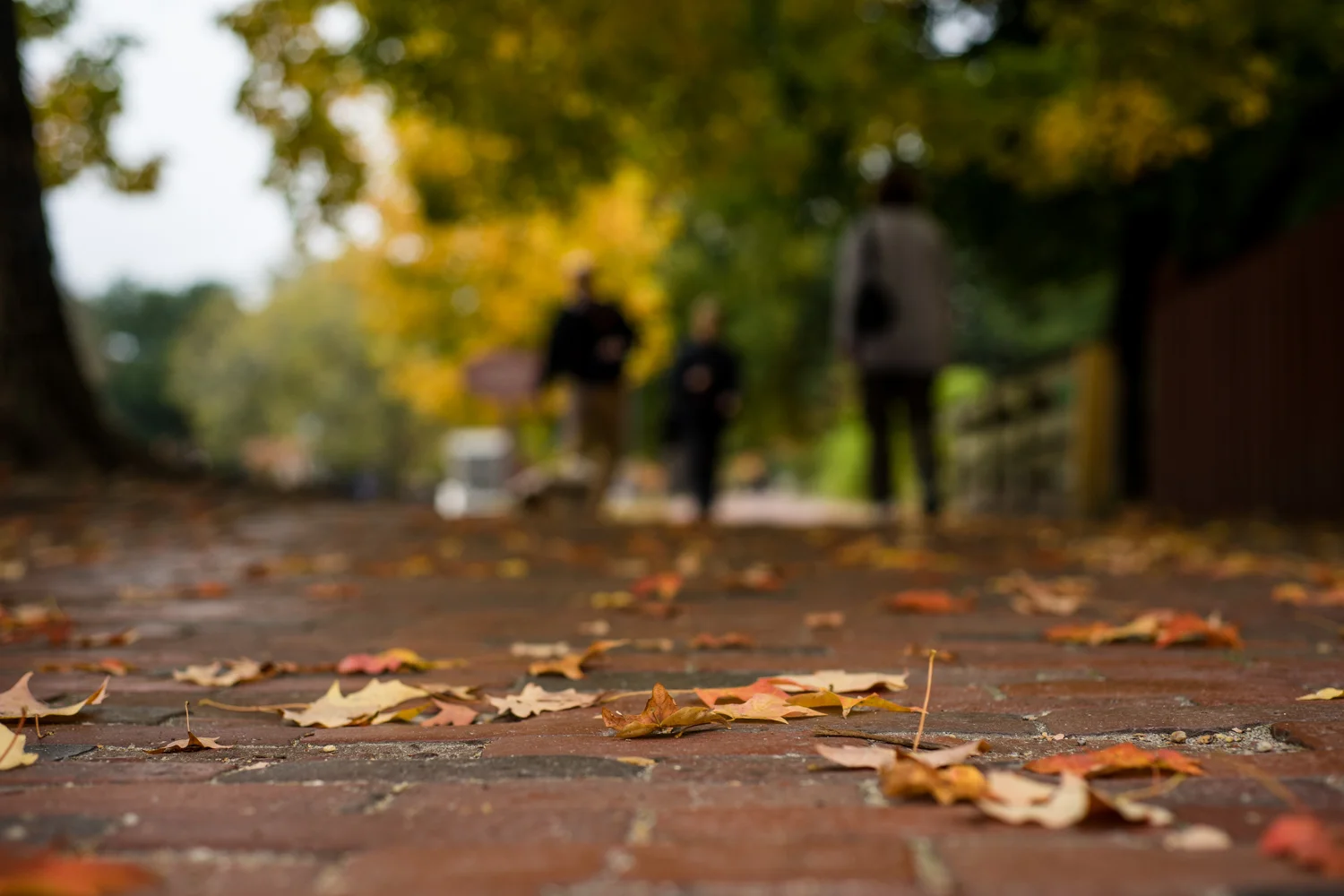 141101RJ172.JPG