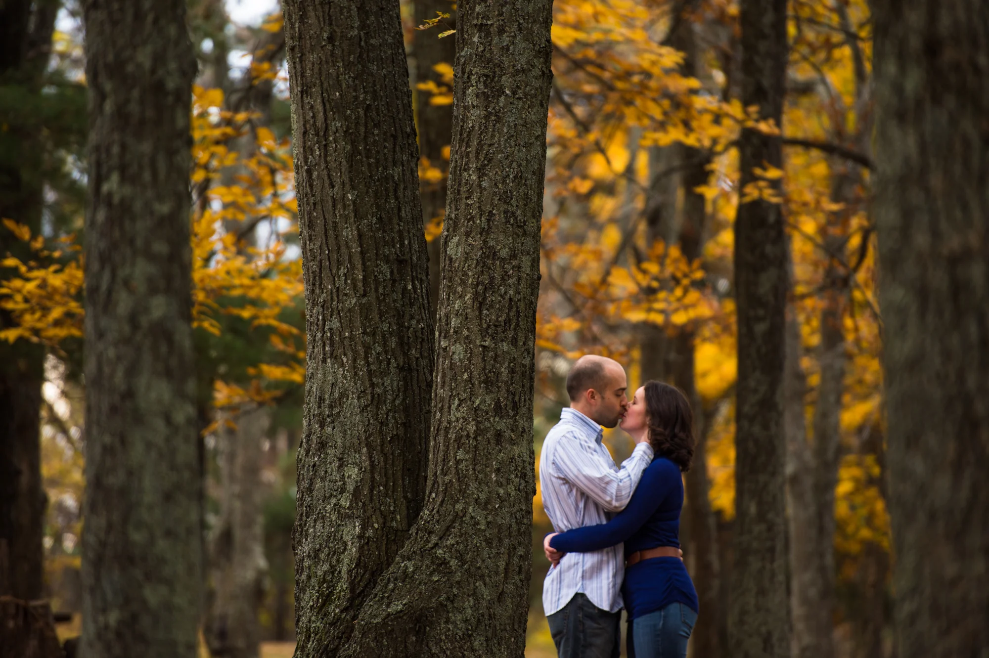 Justin and Mary's Engagement in the Shenandoah National Park