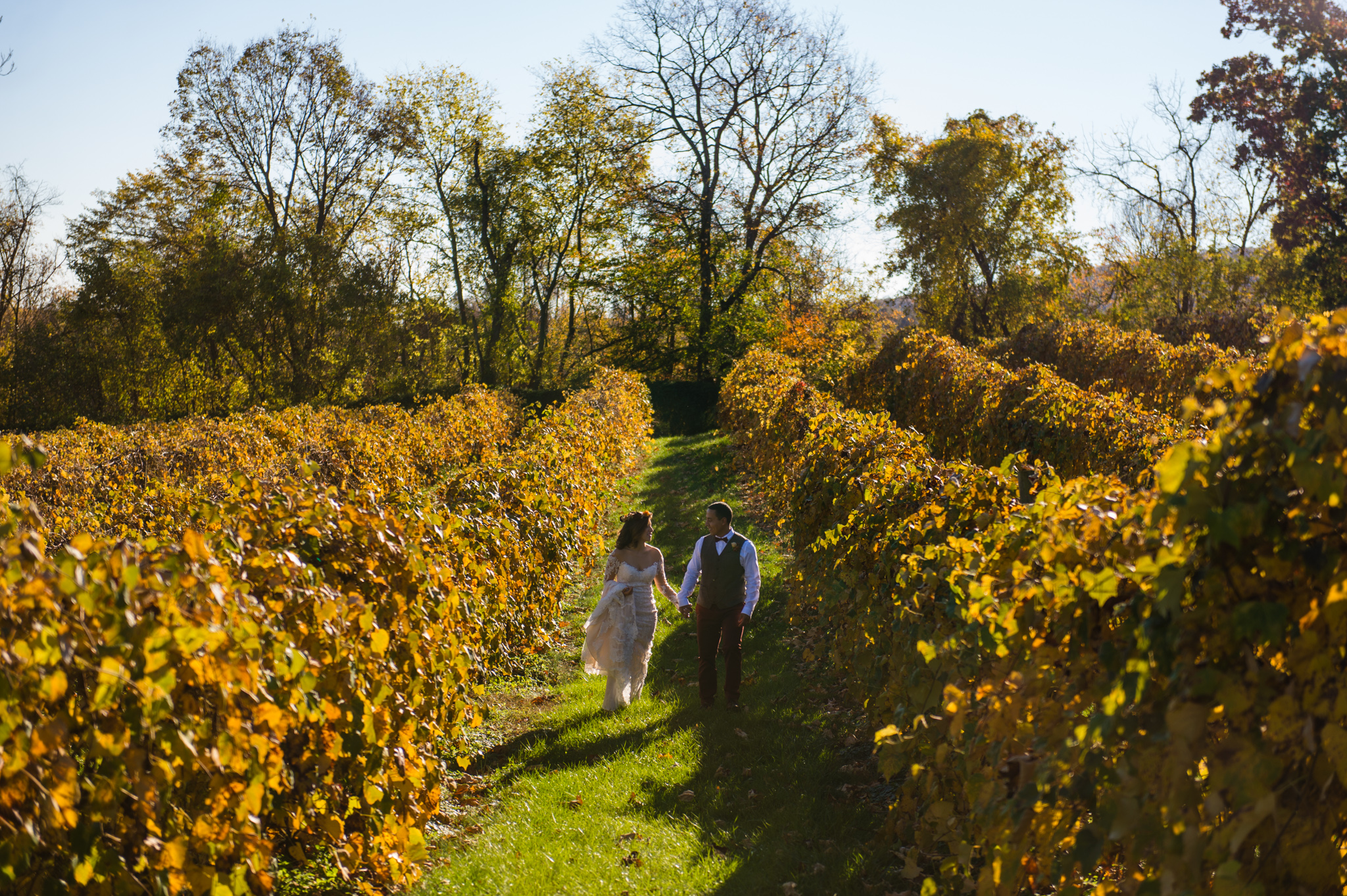 Bluemont Vineyard Rob Jinks 18.jpg