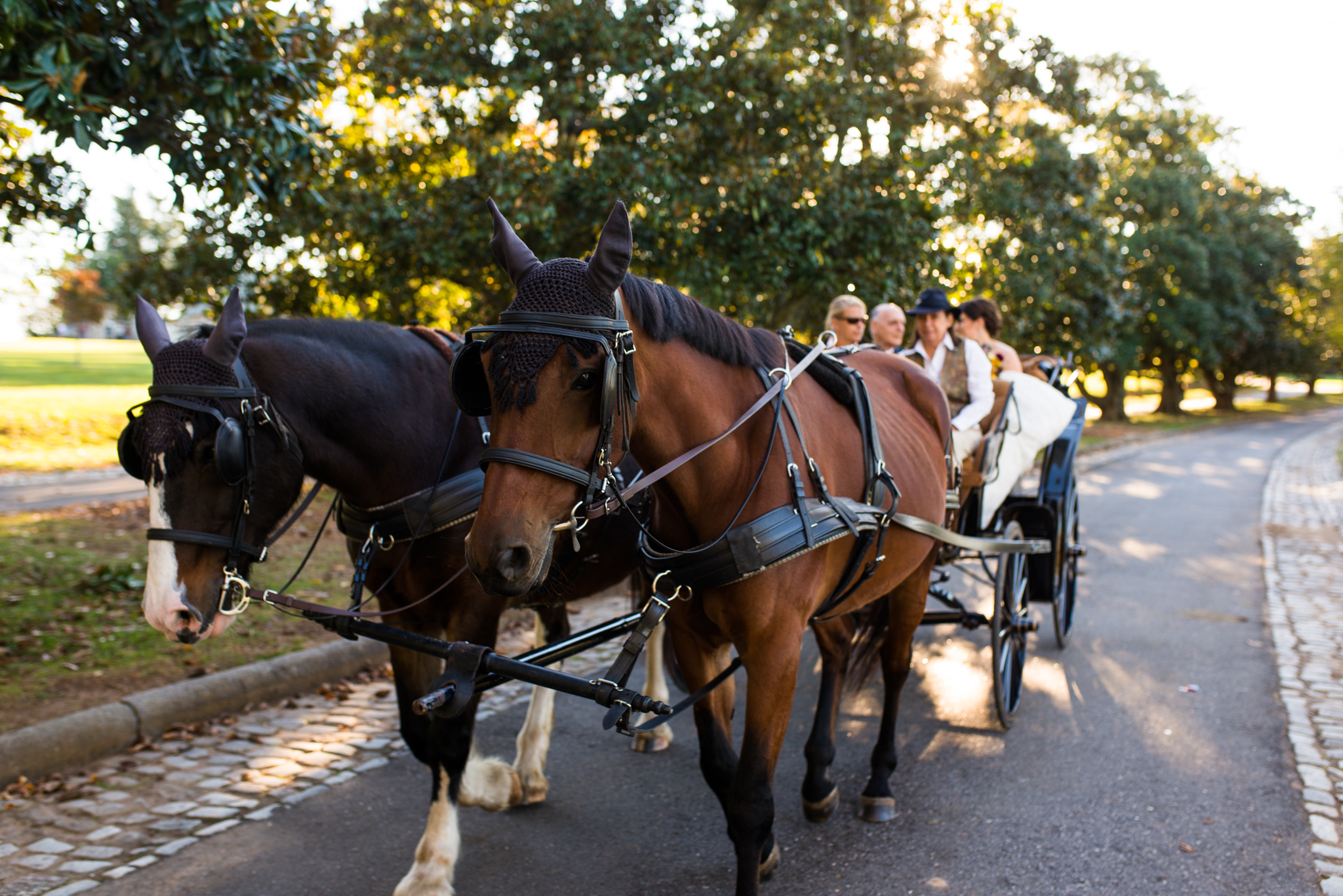 Maymont Richmond Wedding Rob Jinks 13.jpg