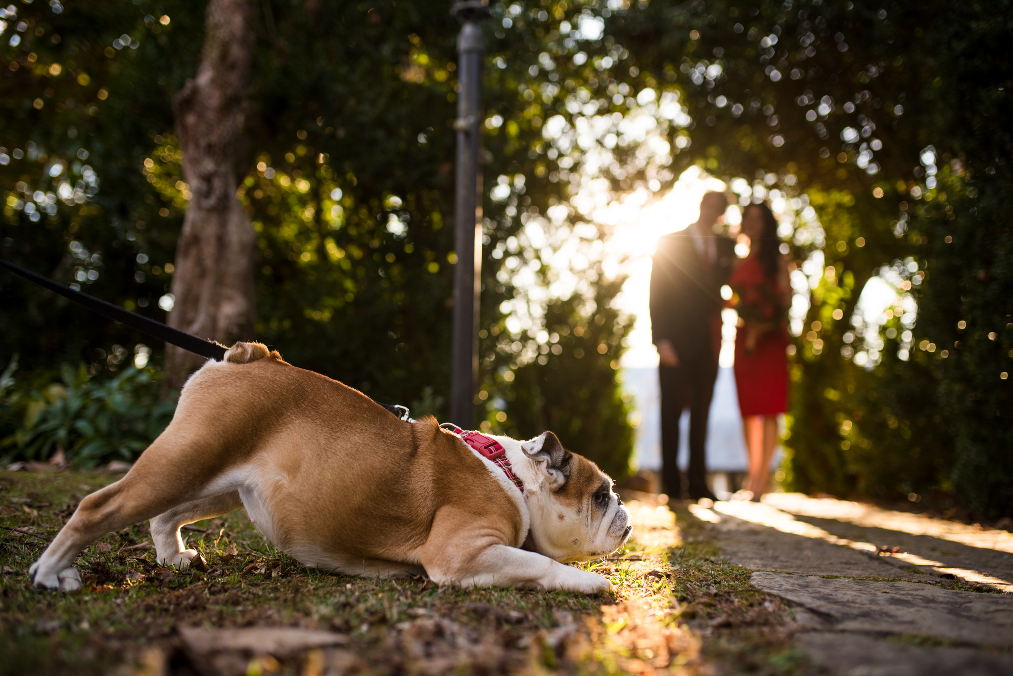 meander plantation virginia wedding rob jinks_031.jpg