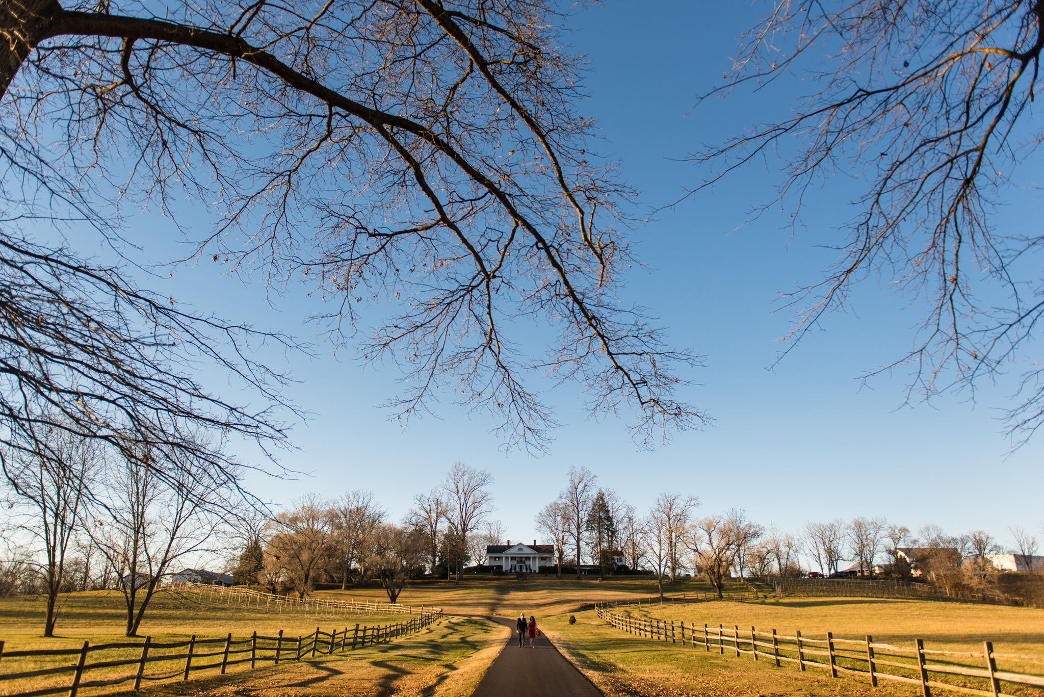 meander plantation virginia wedding rob jinks_035.jpg