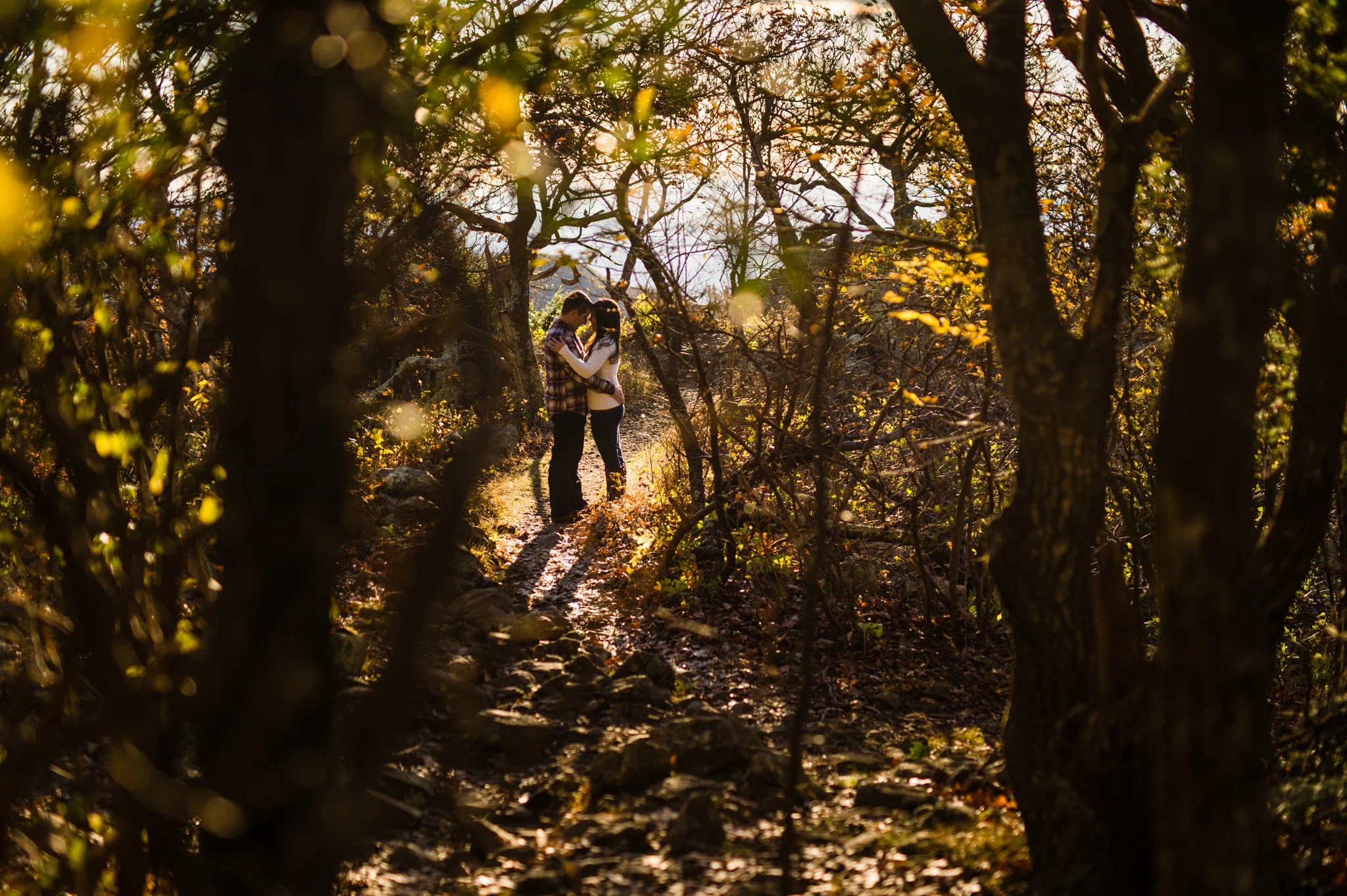  Shenandoah Engagement Session 