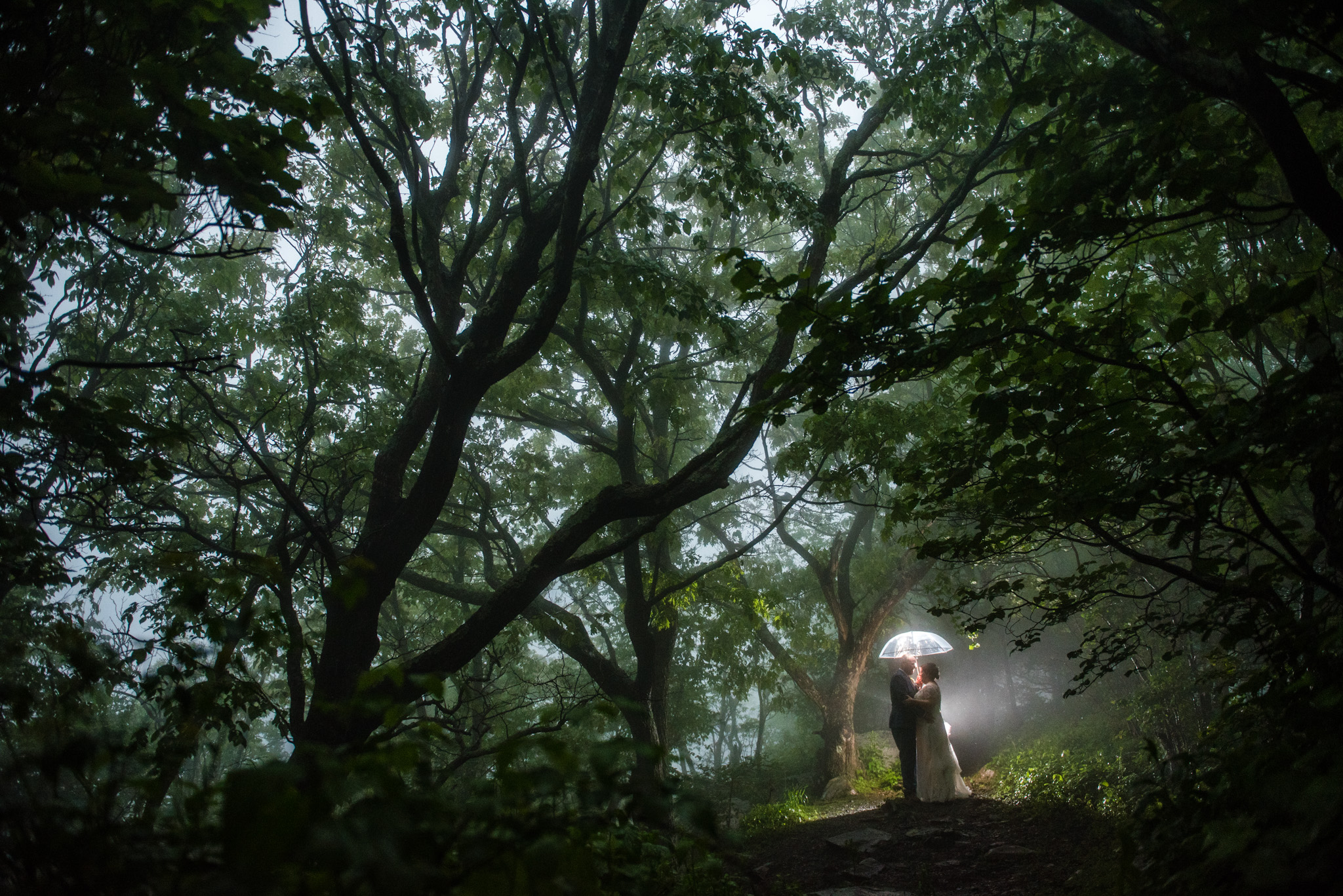 Shenandoah National Park Wedding