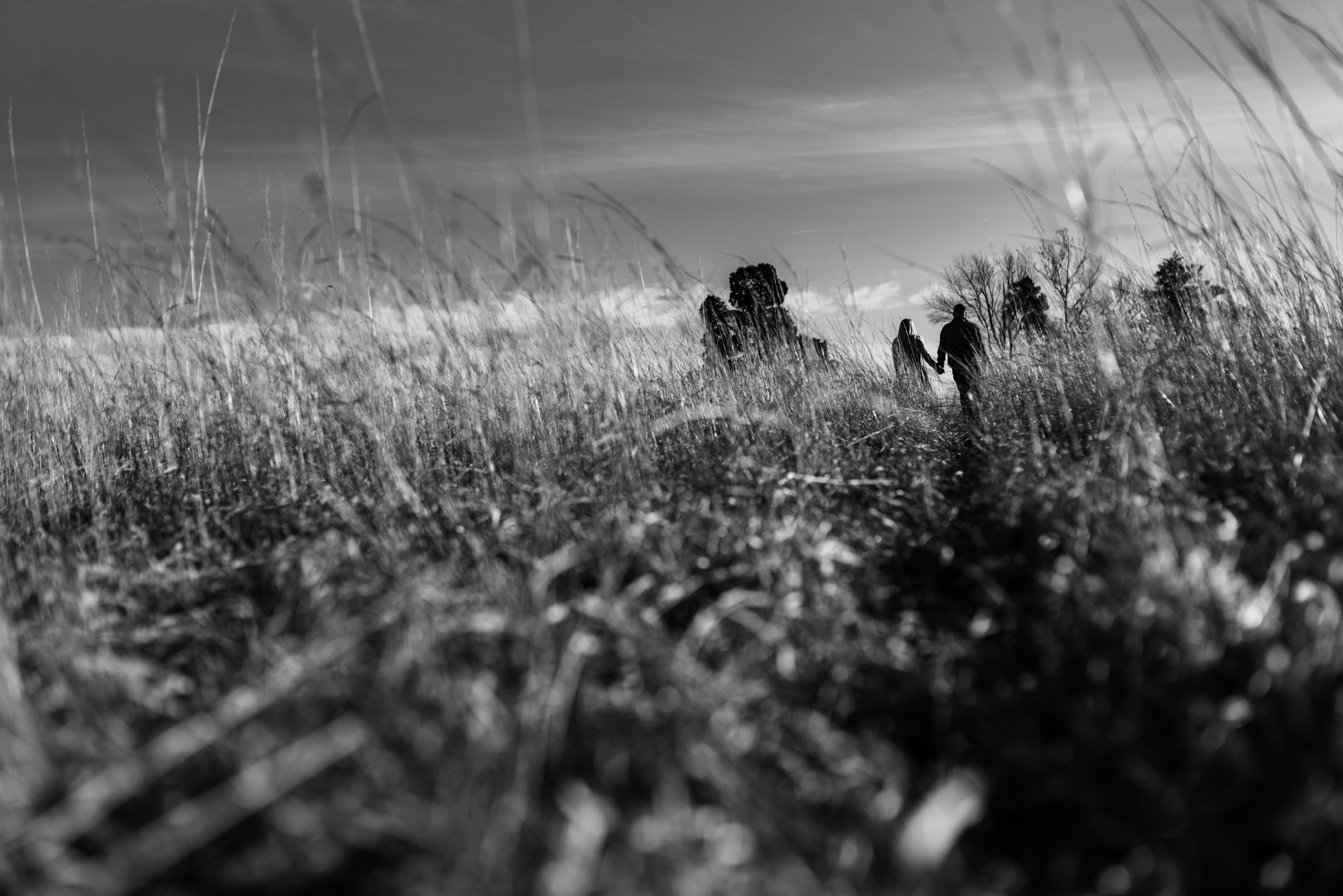 Manassas Battlefield engagement photos