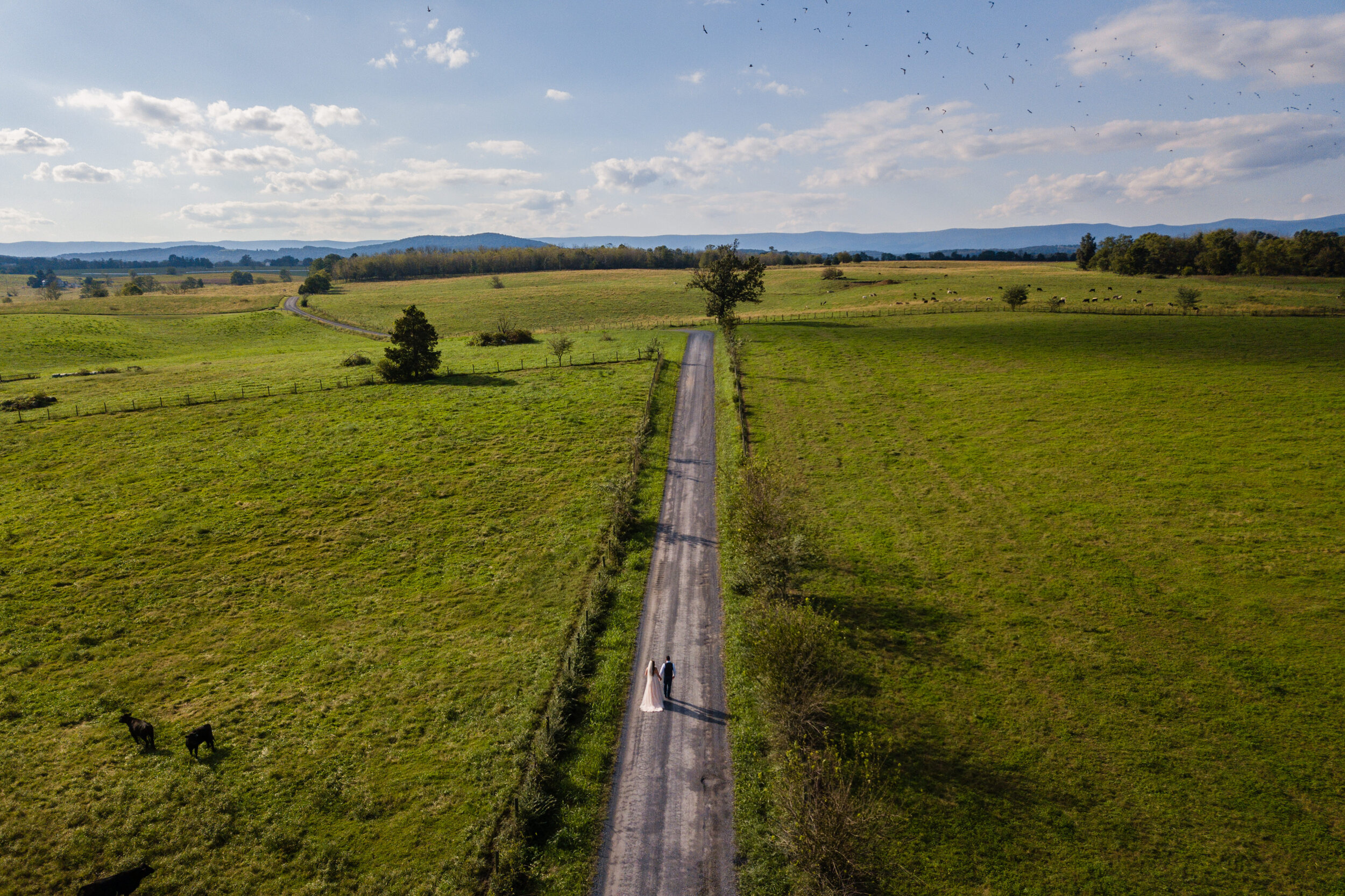 An aerial of a newly married couple walking down a dirt path through beautiful fields