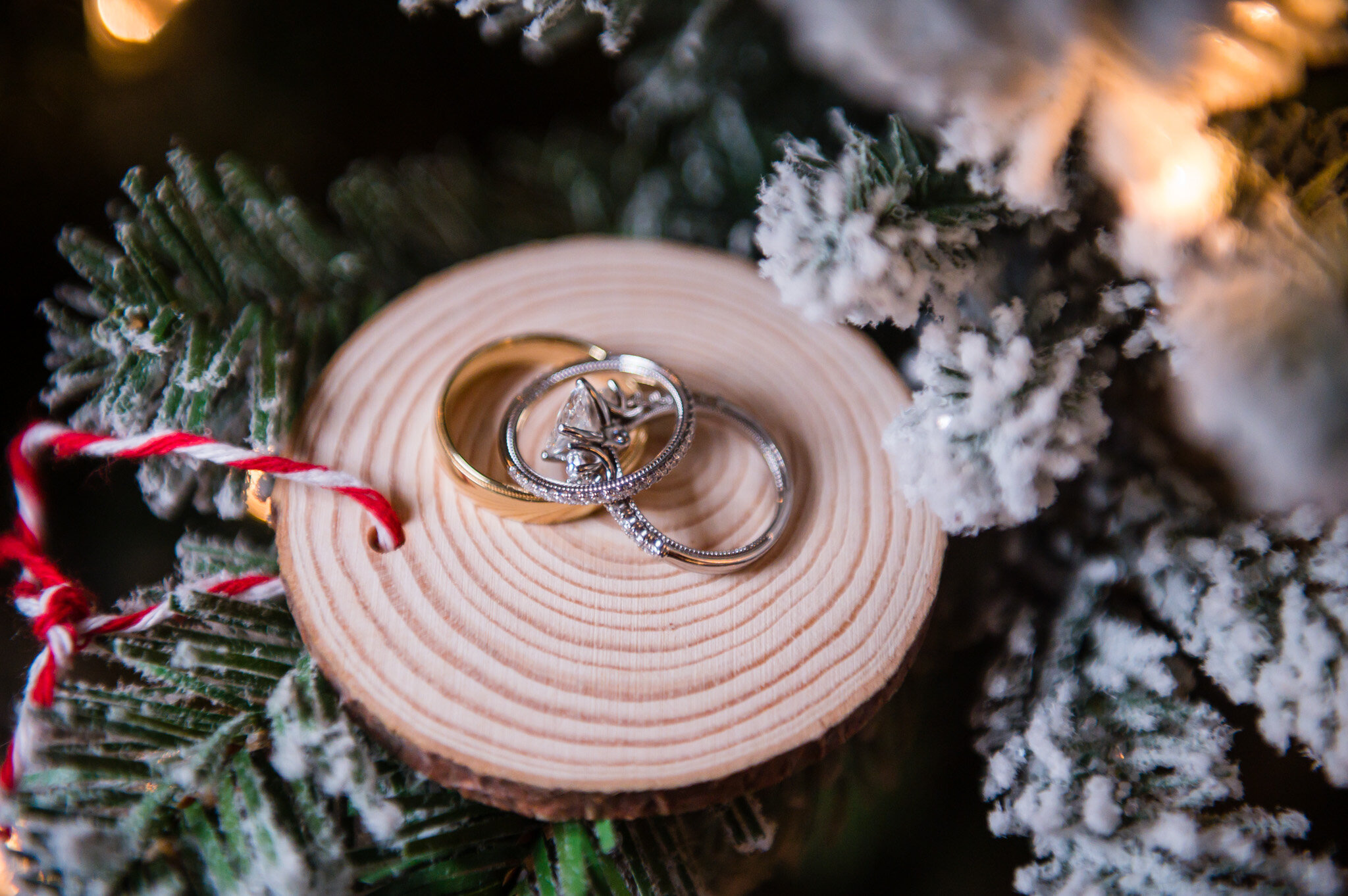 Winter wedding rings