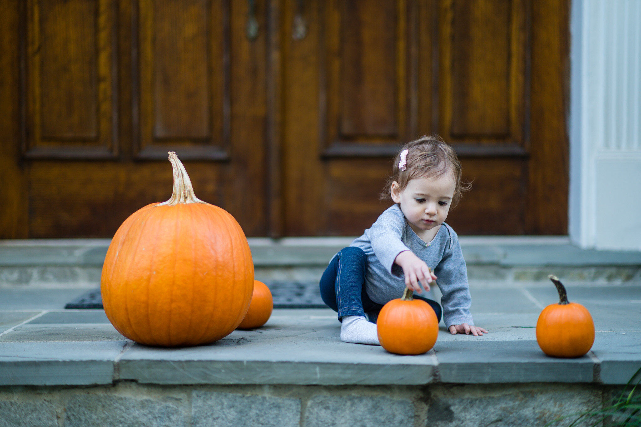 Fall Northern Virginia family lifestyle photography